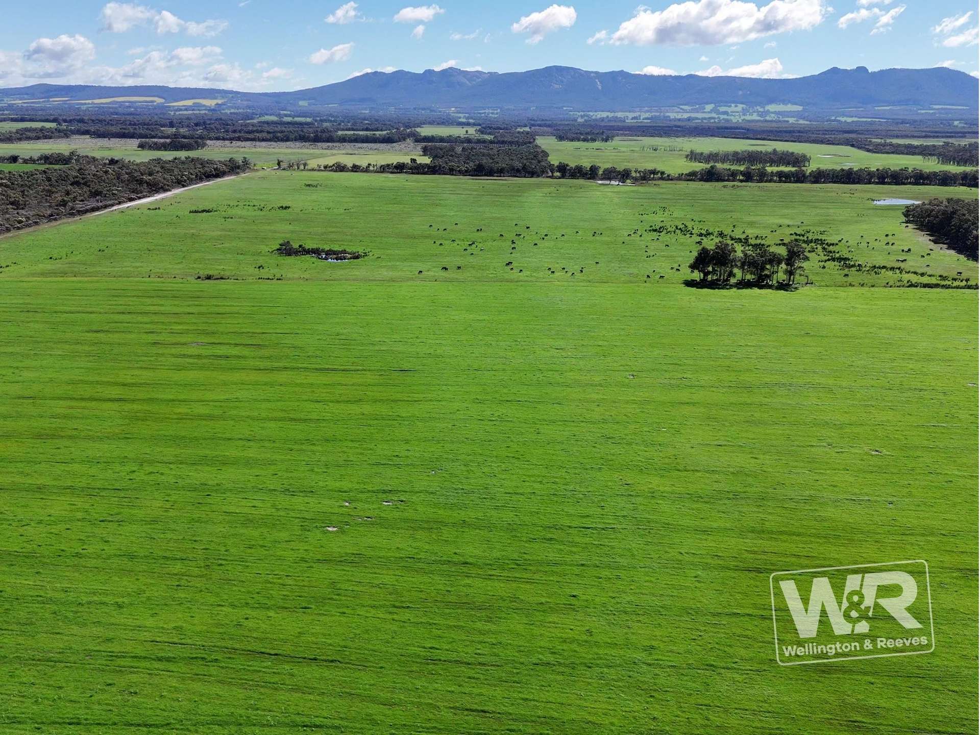 Lot 474 Yellanup Road, Narrikup For Sale by Farmbuy.com - image 16