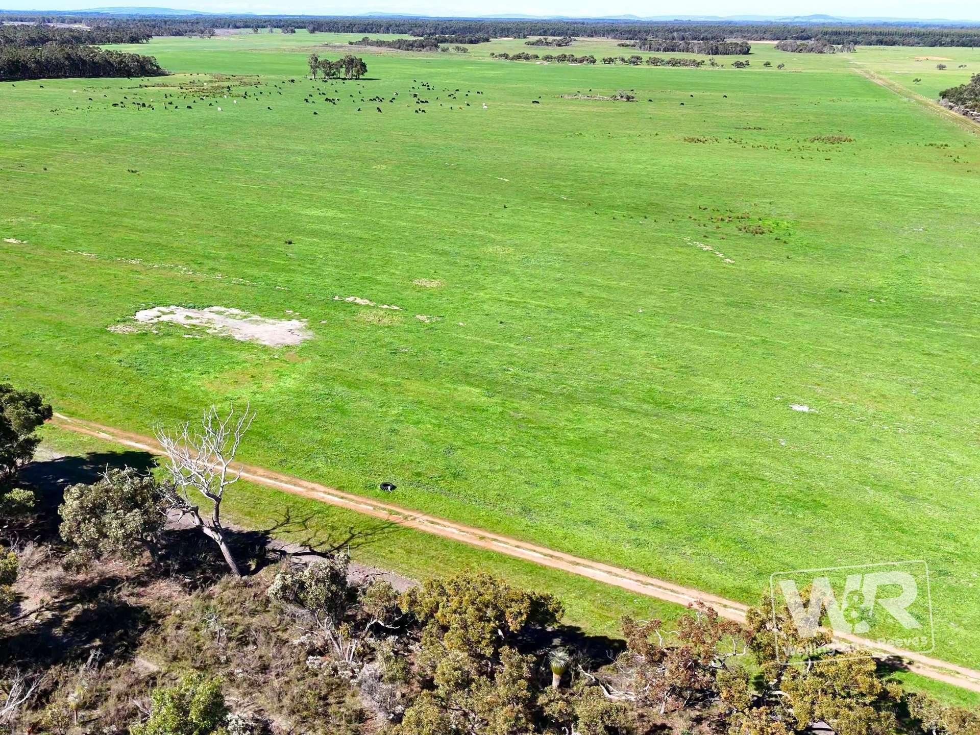 Lot 474 Yellanup Road, Narrikup For Sale by Farmbuy.com - image 6