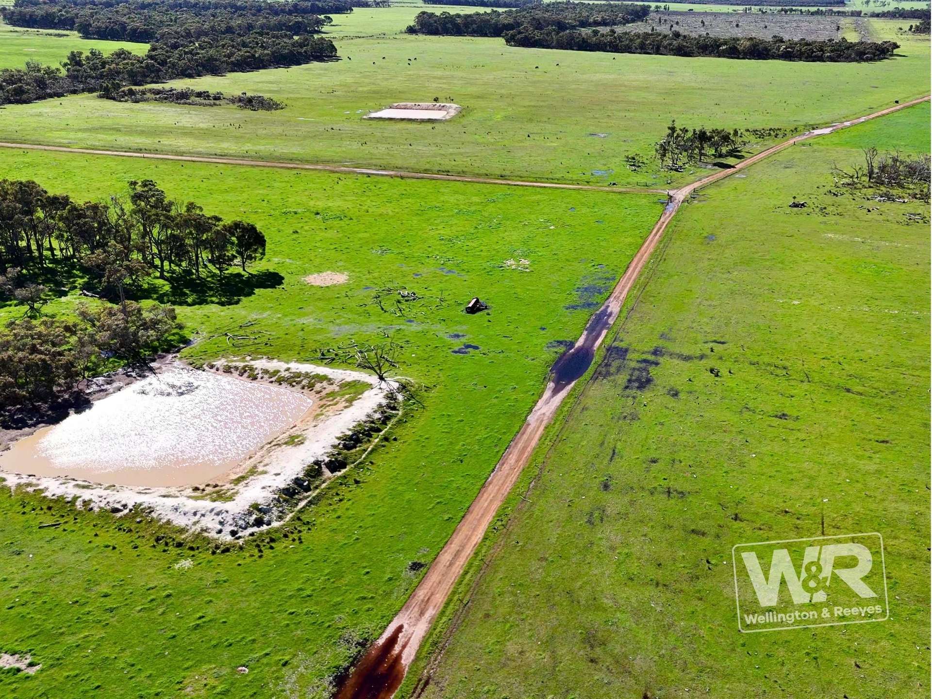 Lot 474 Yellanup Road, Narrikup For Sale by Farmbuy.com - image 3