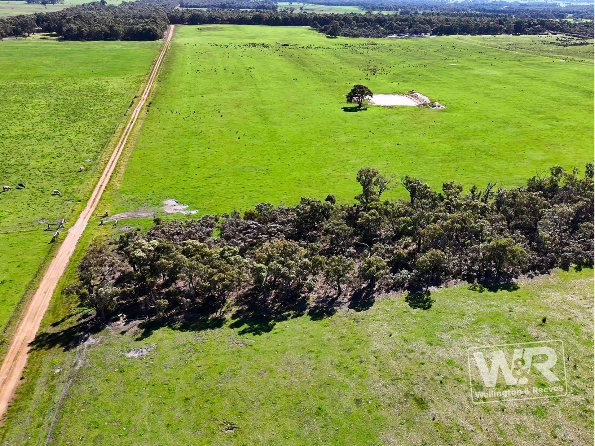 Lot 474 Yellanup Road, Narrikup For Sale by Farmbuy.com - image 4