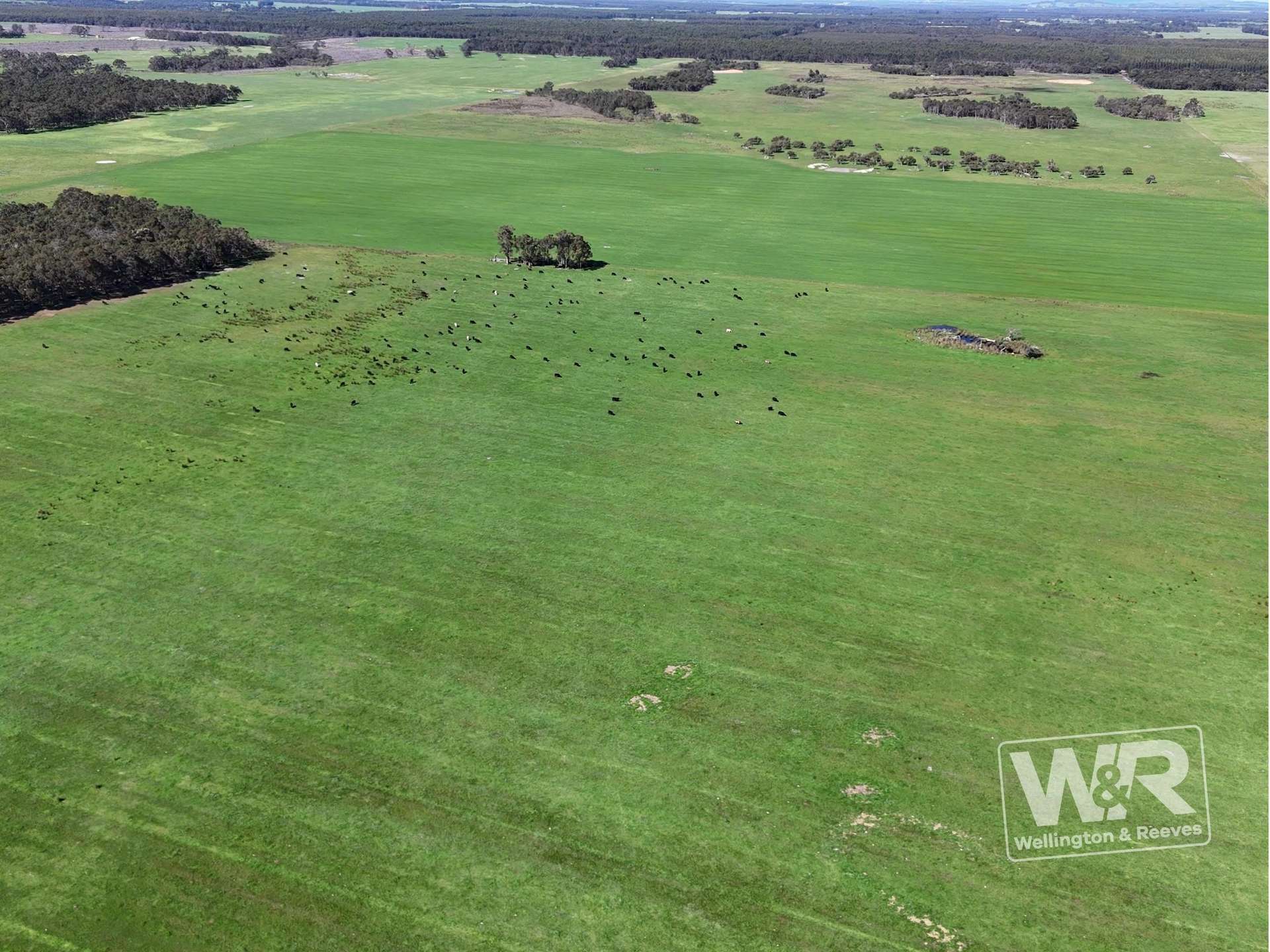 Lot 474 Yellanup Road, Narrikup For Sale by Farmbuy.com - image 14
