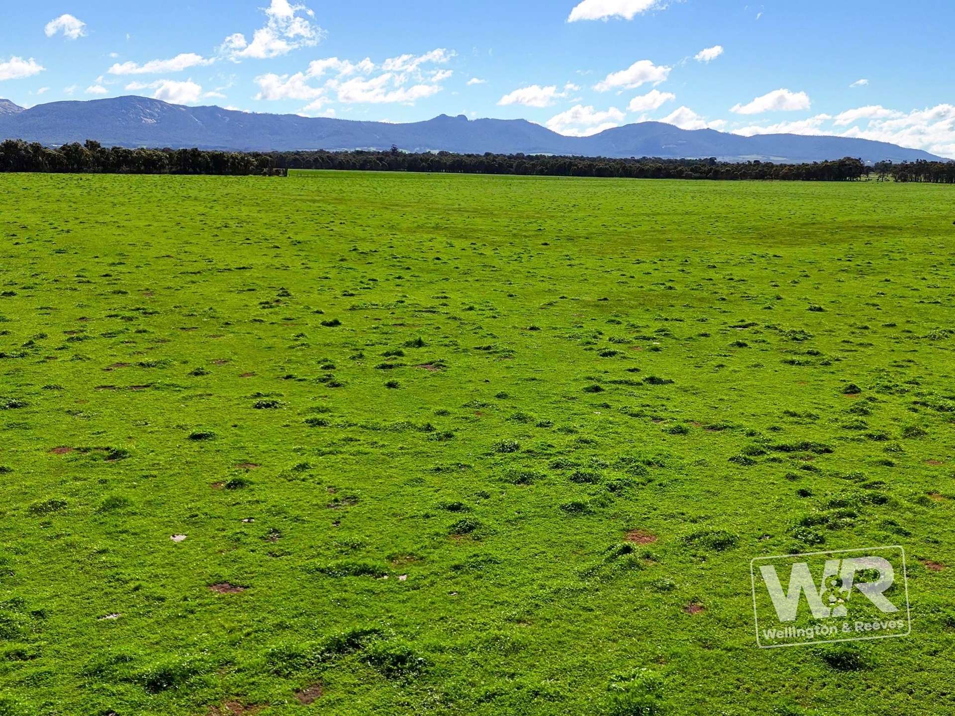 Lot 474 Yellanup Road, Narrikup For Sale by Farmbuy.com - image 1