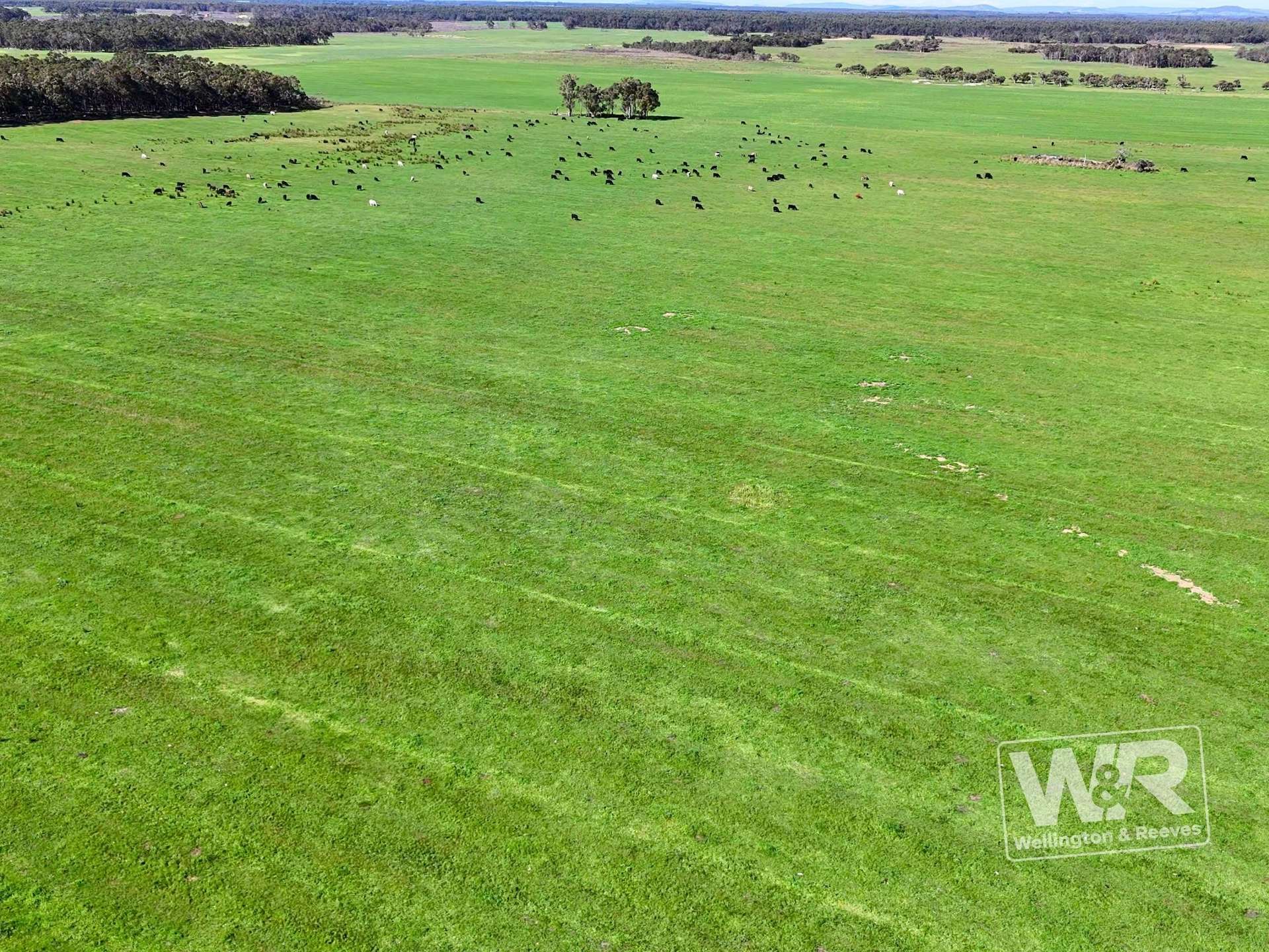 Lot 474 Yellanup Road, Narrikup For Sale by Farmbuy.com - image 7