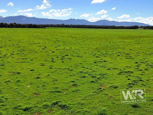 Farm For Sale - WA - Narrikup - 6326 - IN THE MIDST OF THE PORONGURUPS 438 HA 