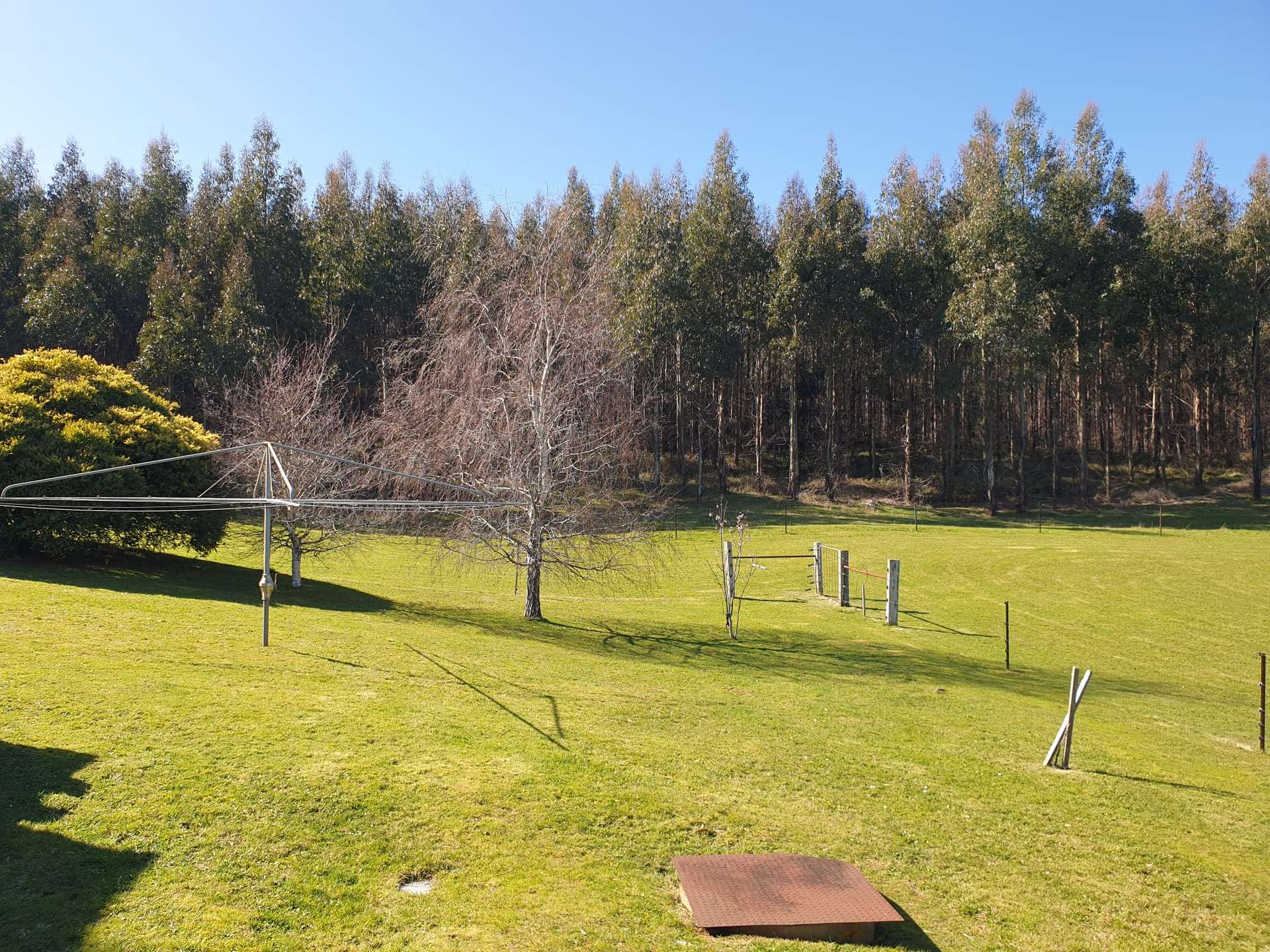 735 Beulah Road, Beulah For Sale by Farmbuy.com - image 15