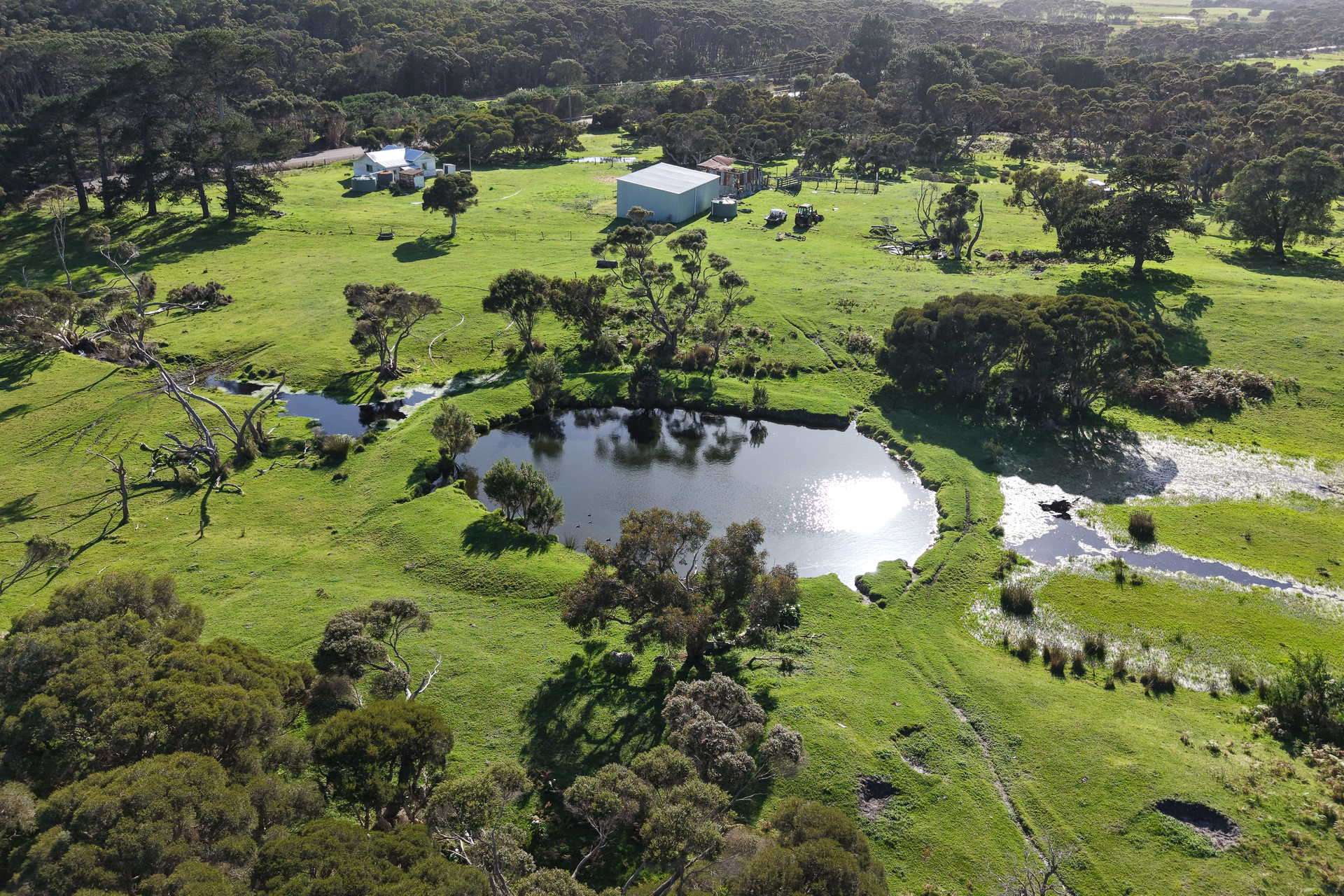 891 Lower Denmark Road, Cuthbert For Sale by Farmbuy.com - image 6