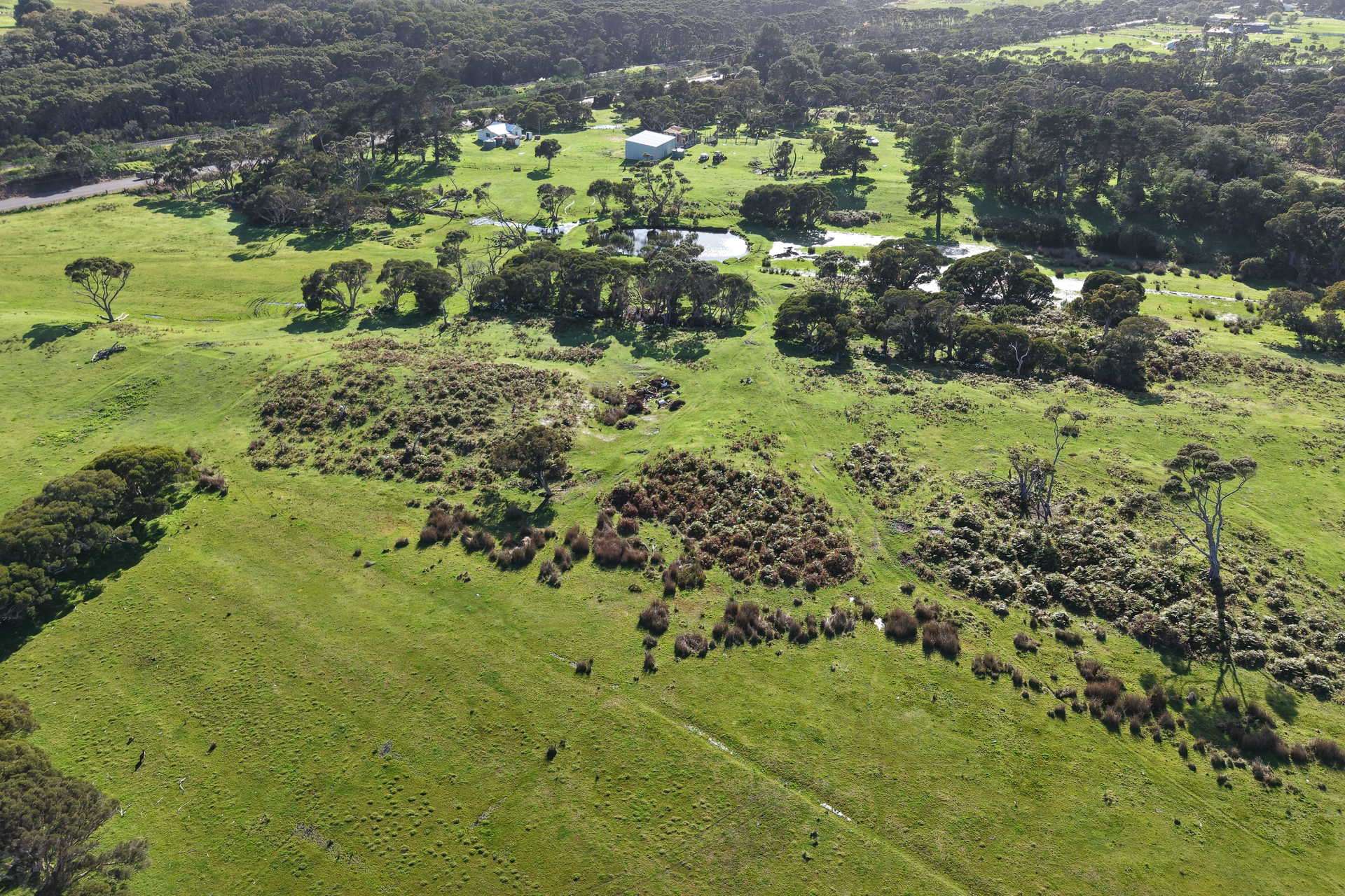 891 Lower Denmark Road, Cuthbert For Sale by Farmbuy.com - image 20