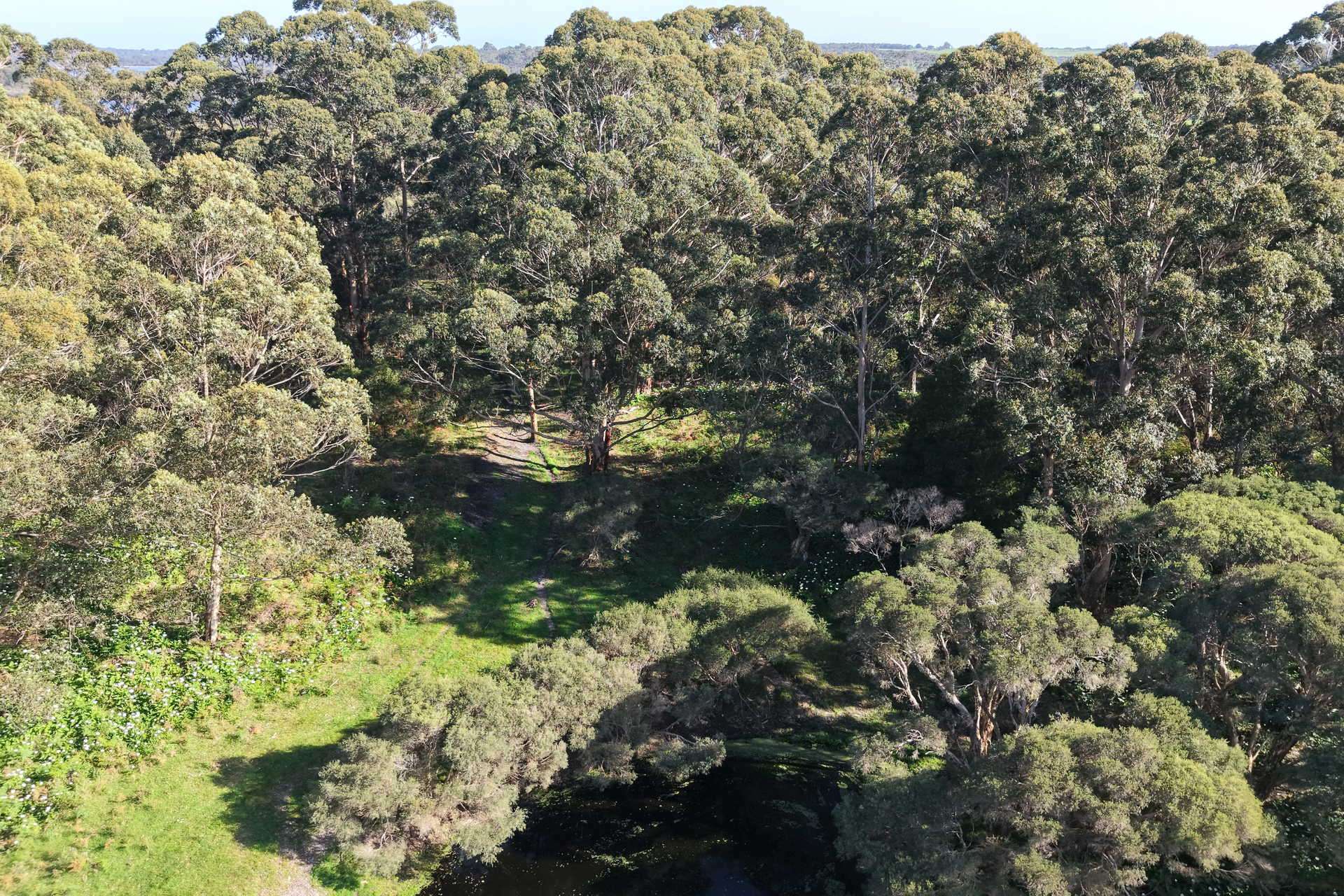 891 Lower Denmark Road, Cuthbert For Sale by Farmbuy.com - image 11