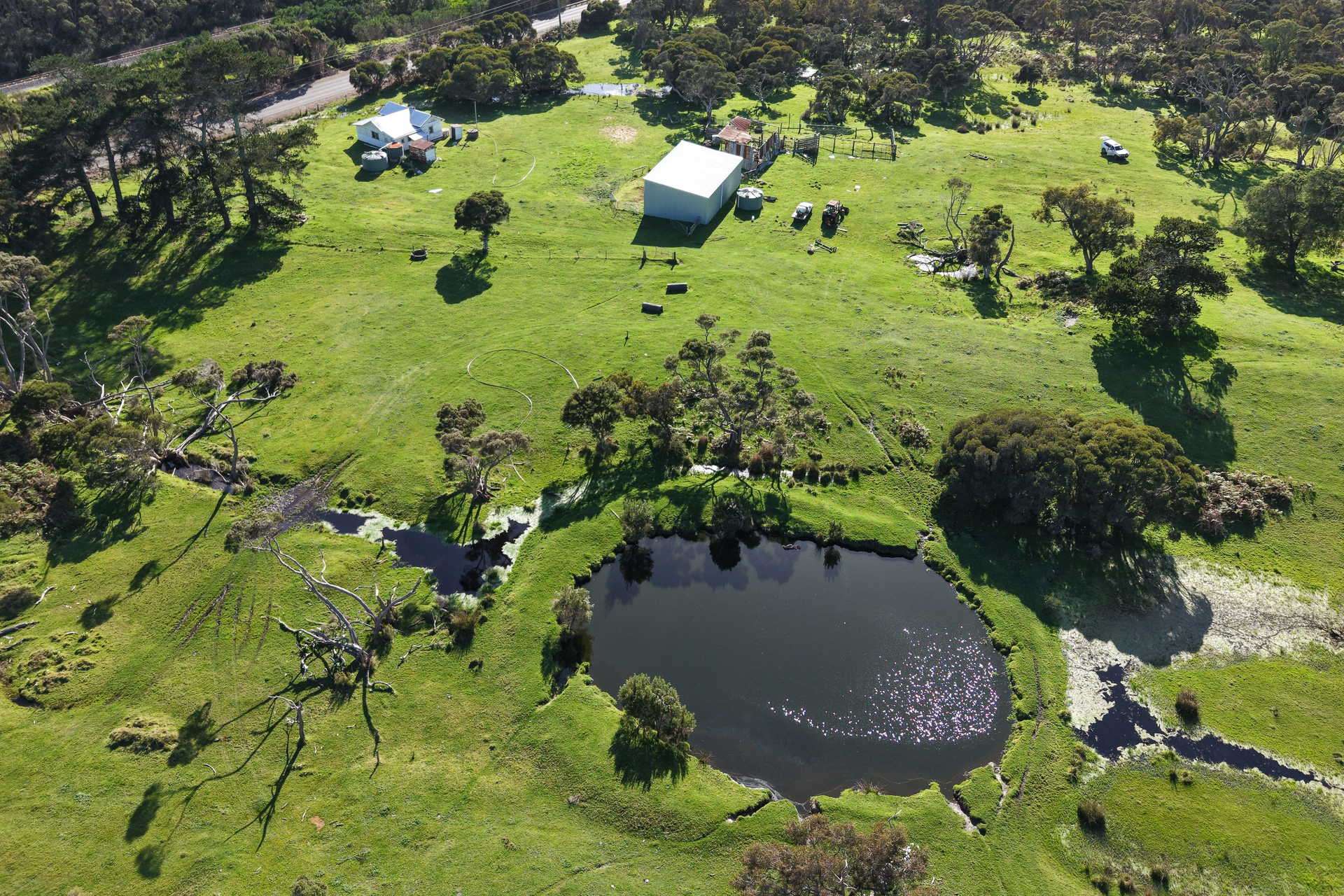 891 Lower Denmark Road, Cuthbert For Sale by Farmbuy.com - image 5