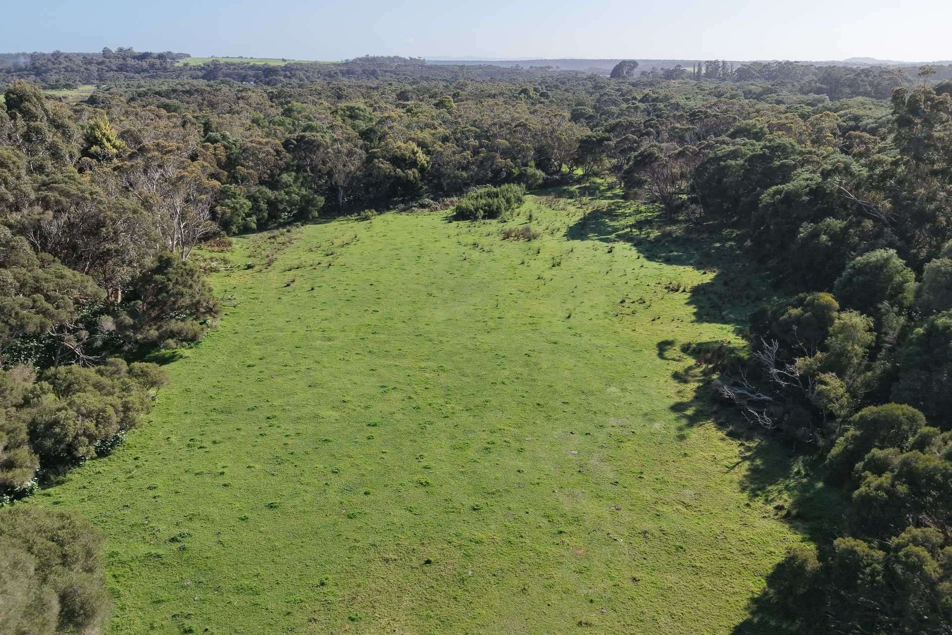 891 Lower Denmark Road, Cuthbert For Sale by Farmbuy.com - image 7