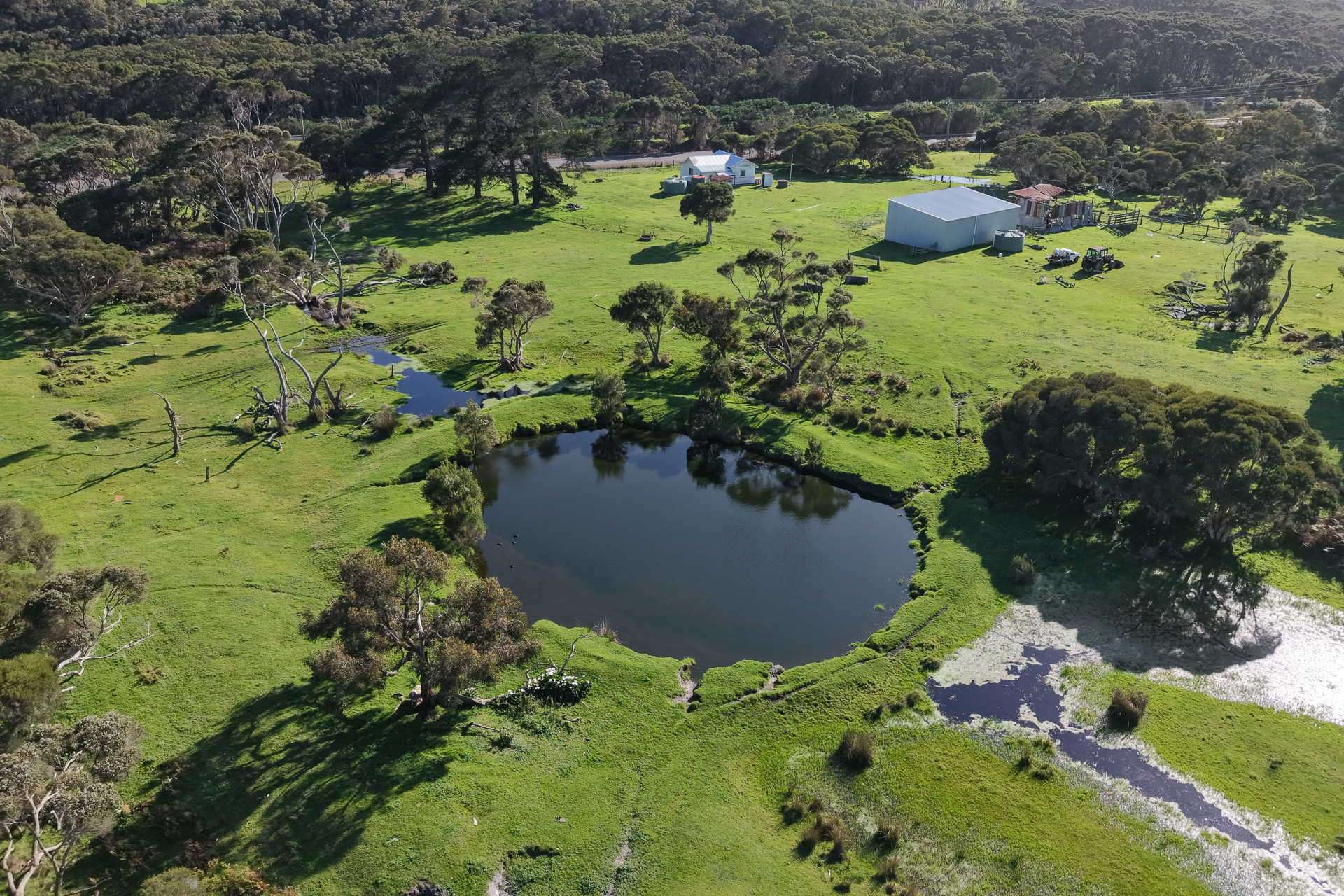 891 Lower Denmark Road, Cuthbert For Sale by Farmbuy.com - image 2