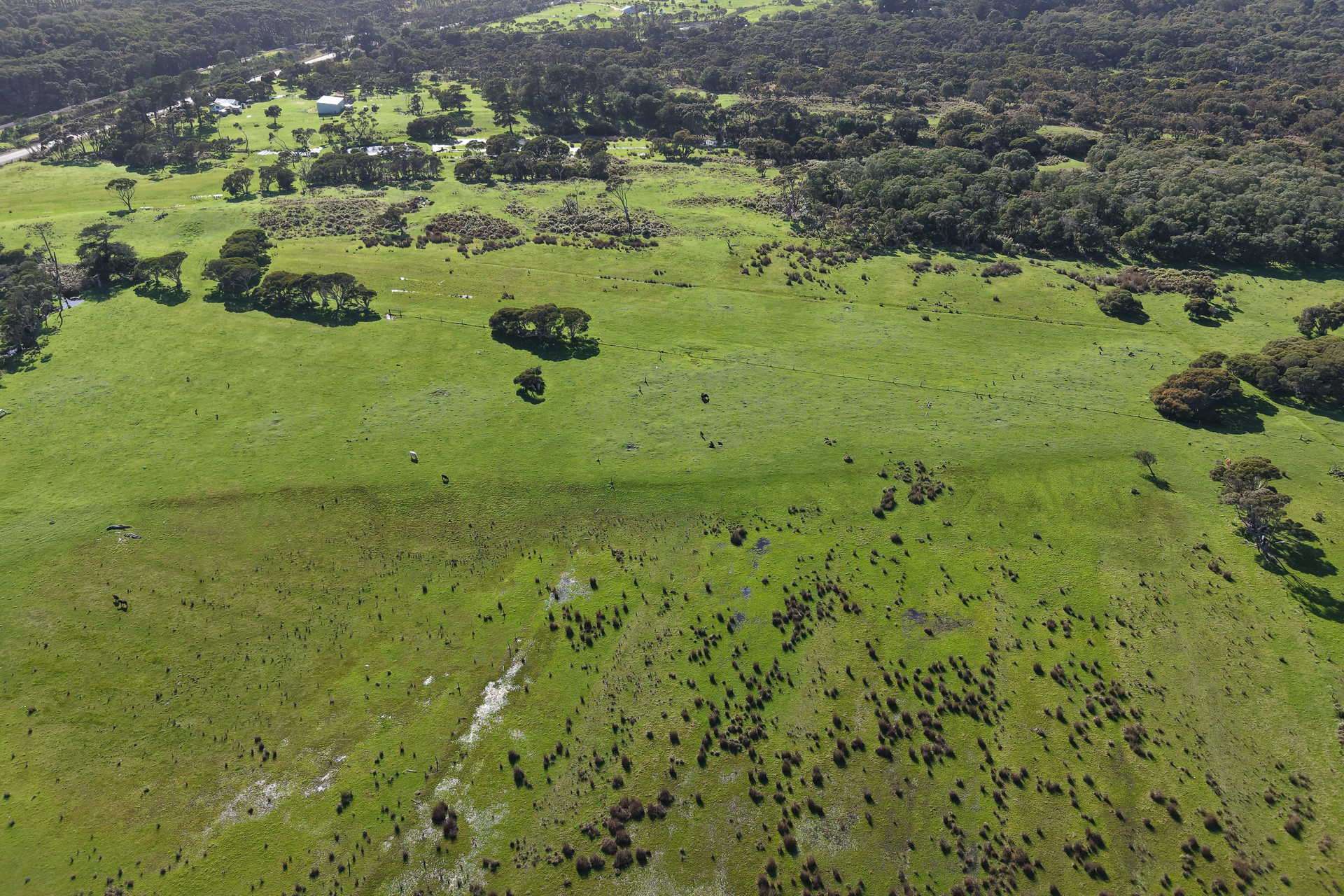 891 Lower Denmark Road, Cuthbert For Sale by Farmbuy.com - image 17