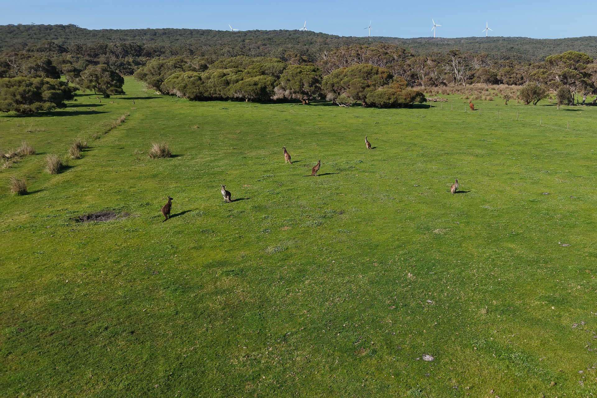 891 Lower Denmark Road, Cuthbert For Sale by Farmbuy.com - image 9