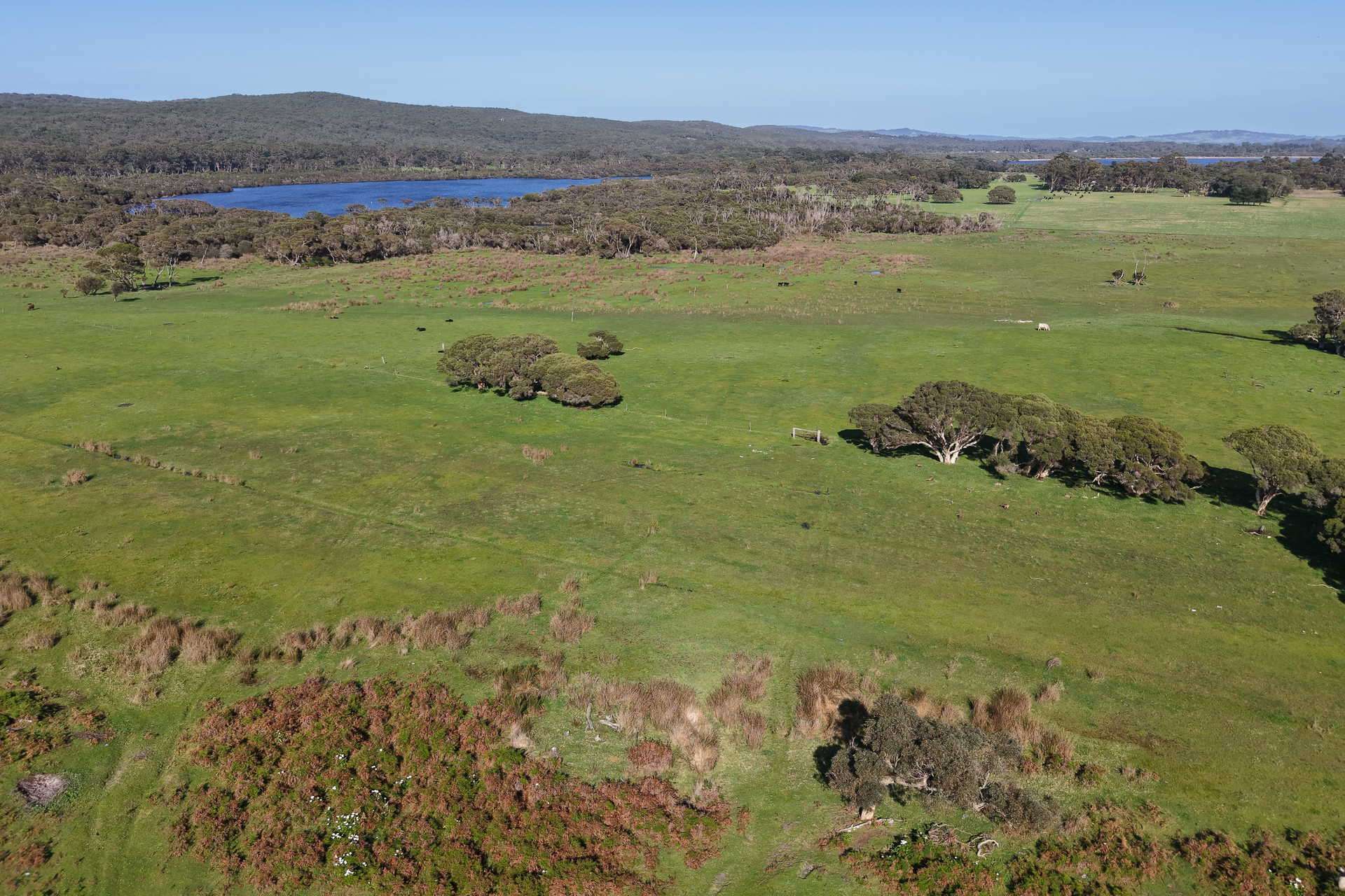 891 Lower Denmark Road, Cuthbert For Sale by Farmbuy.com - image 8