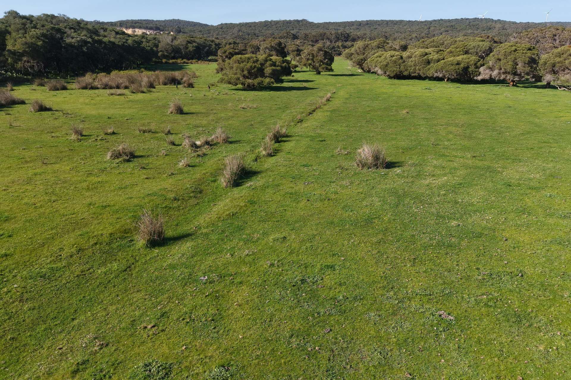 891 Lower Denmark Road, Cuthbert For Sale by Farmbuy.com - image 15