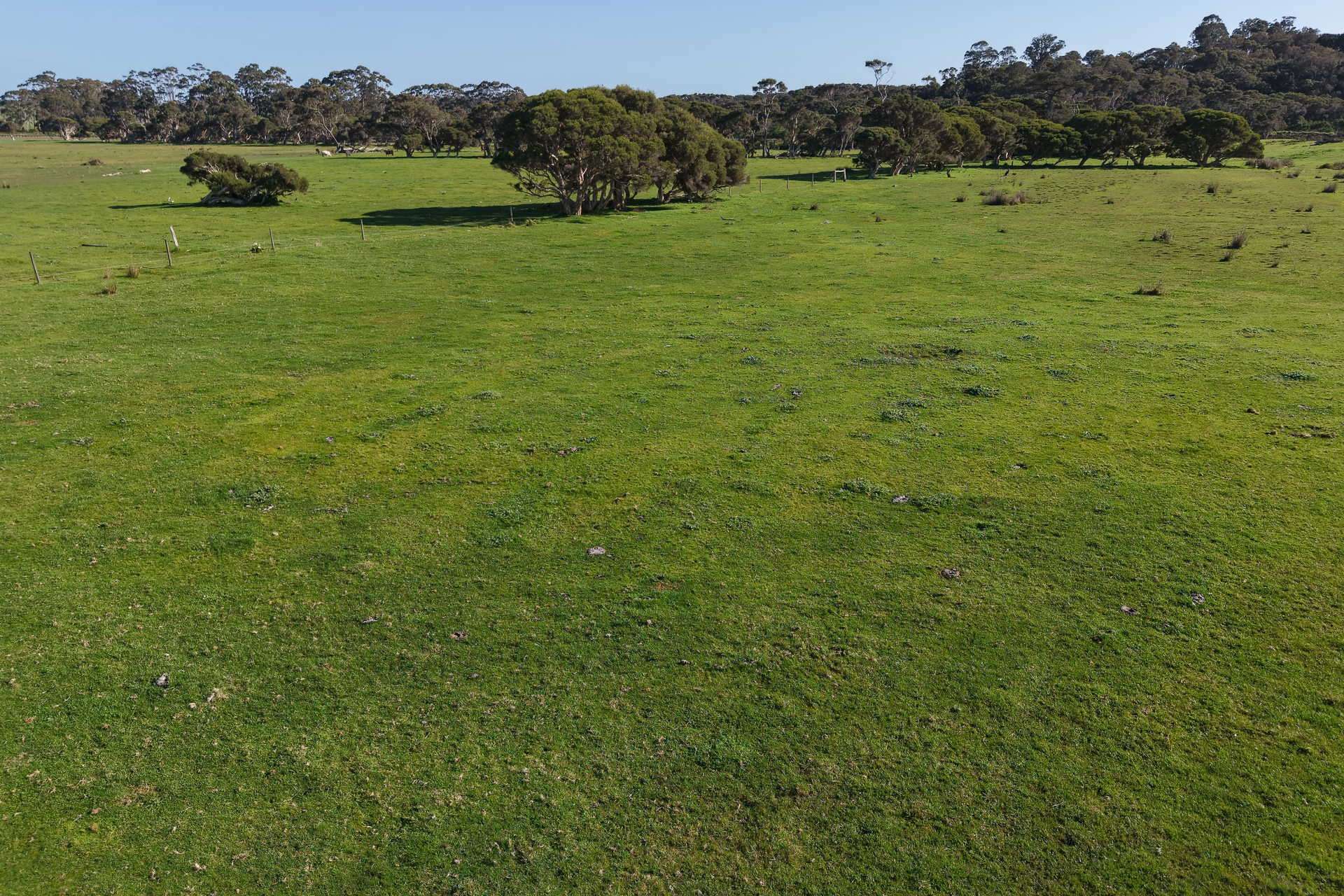 891 Lower Denmark Road, Cuthbert For Sale by Farmbuy.com - image 16