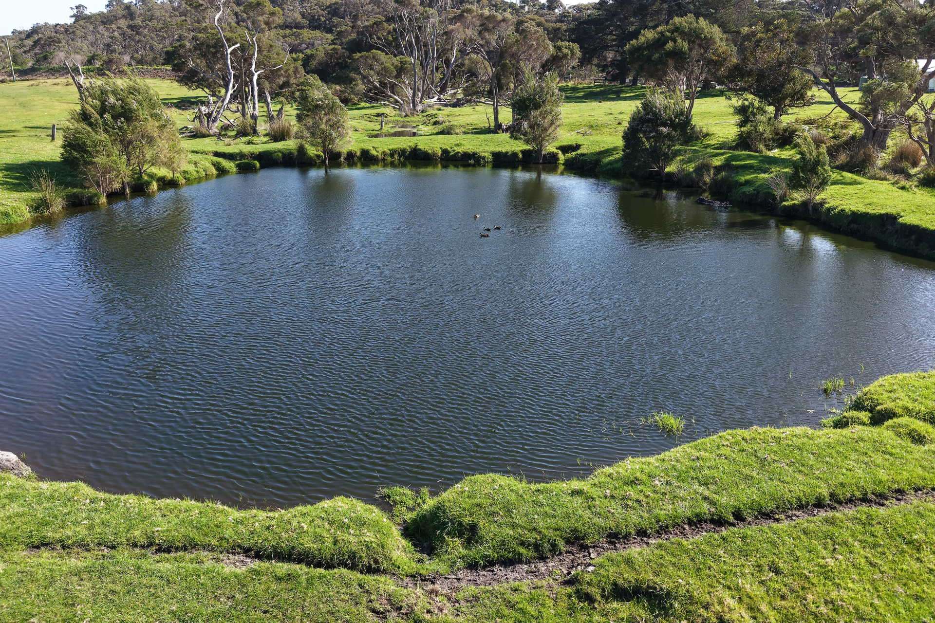891 Lower Denmark Road, Cuthbert For Sale by Farmbuy.com - image 4