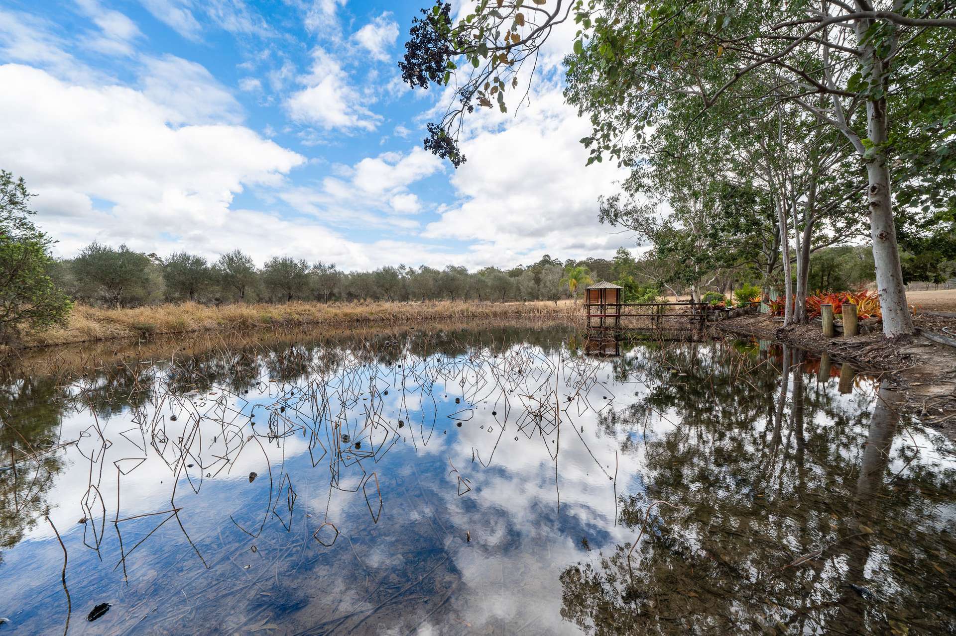 134 Costellos Road, Upper Lockyer For Sale by Farmbuy.com - image 25
