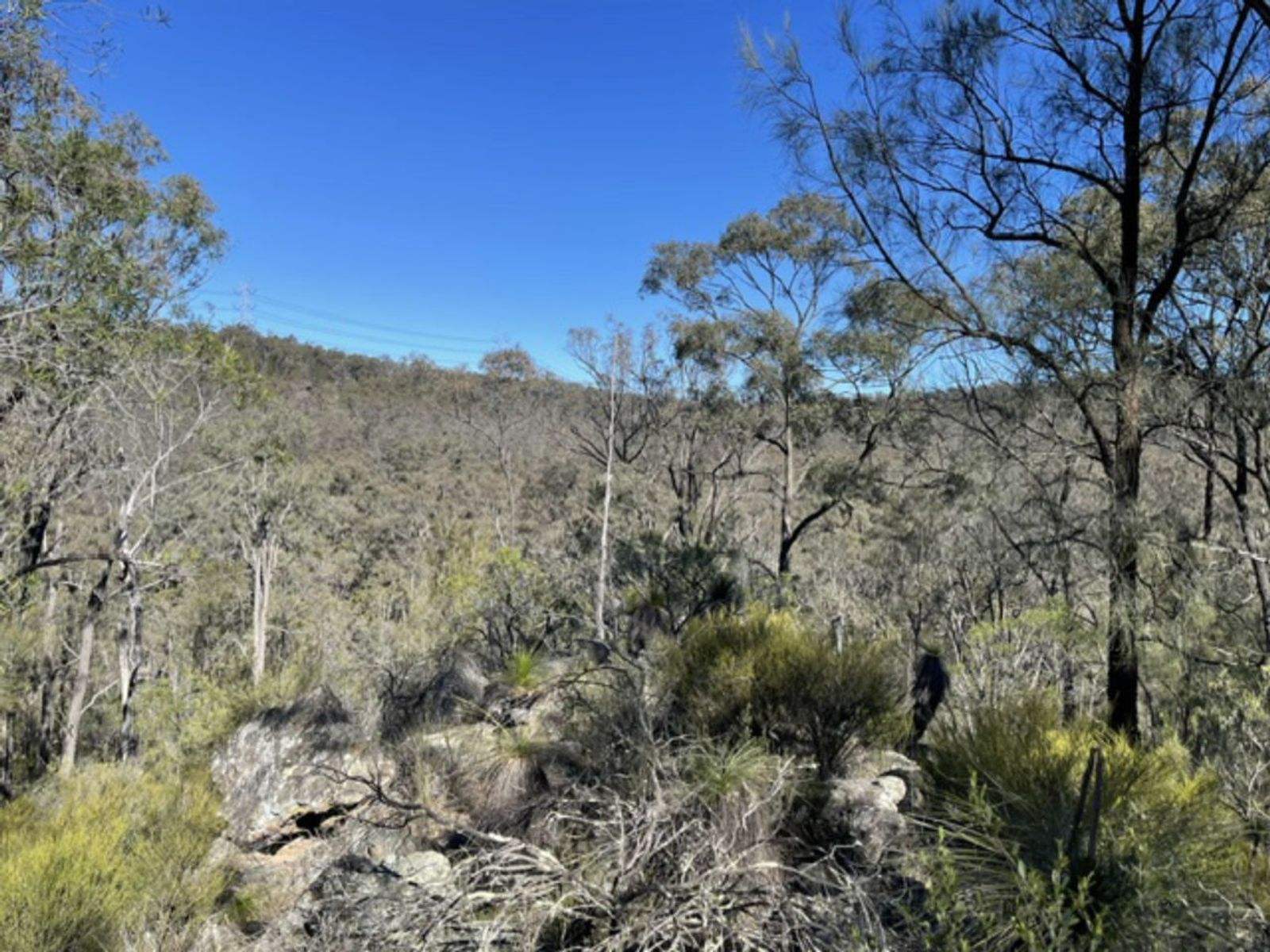 Lot 104 Giants Creek Road, Sandy Hollow For Sale by Farmbuy.com - image 12