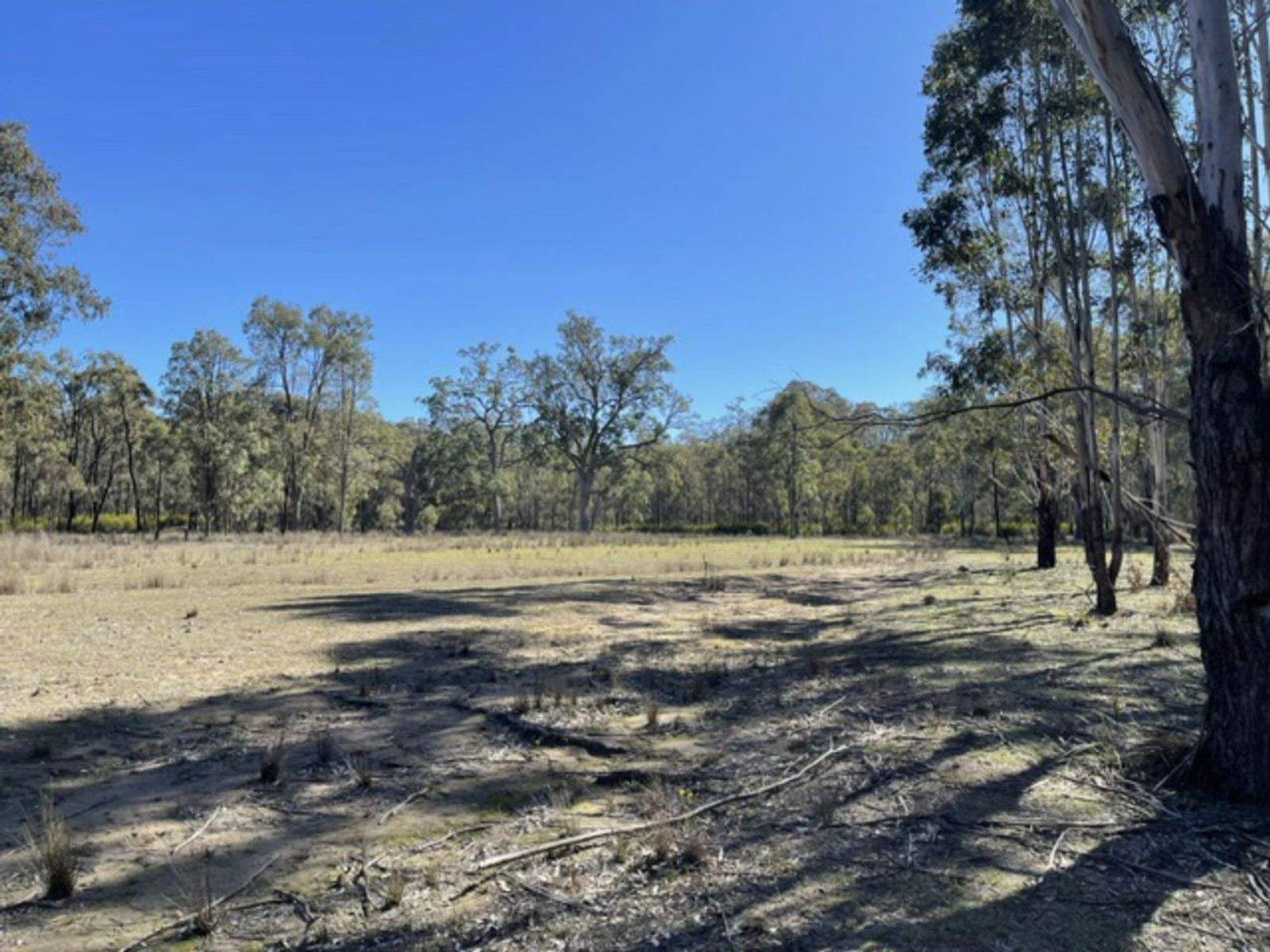 Lot 104 Giants Creek Road, Sandy Hollow For Sale by Farmbuy.com - image 14