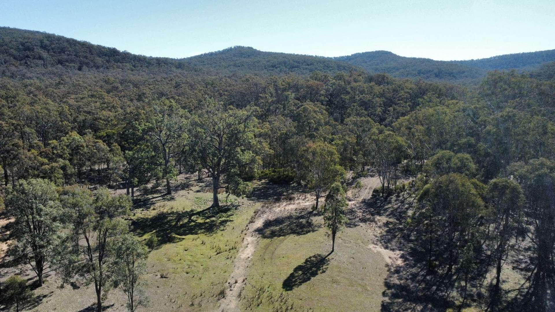 Lot 104 Giants Creek Road, Sandy Hollow For Sale by Farmbuy.com - image 2