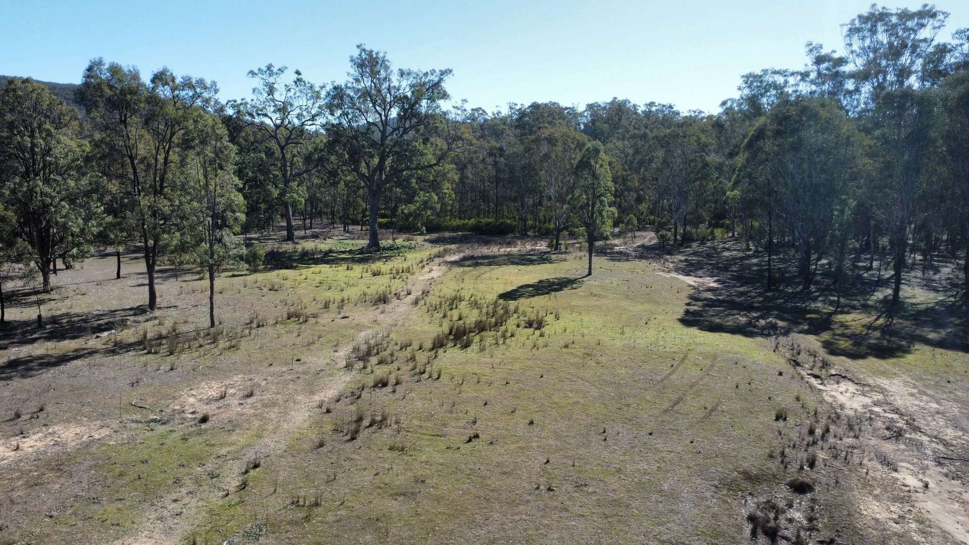 Lot 104 Giants Creek Road, Sandy Hollow For Sale by Farmbuy.com - image 3