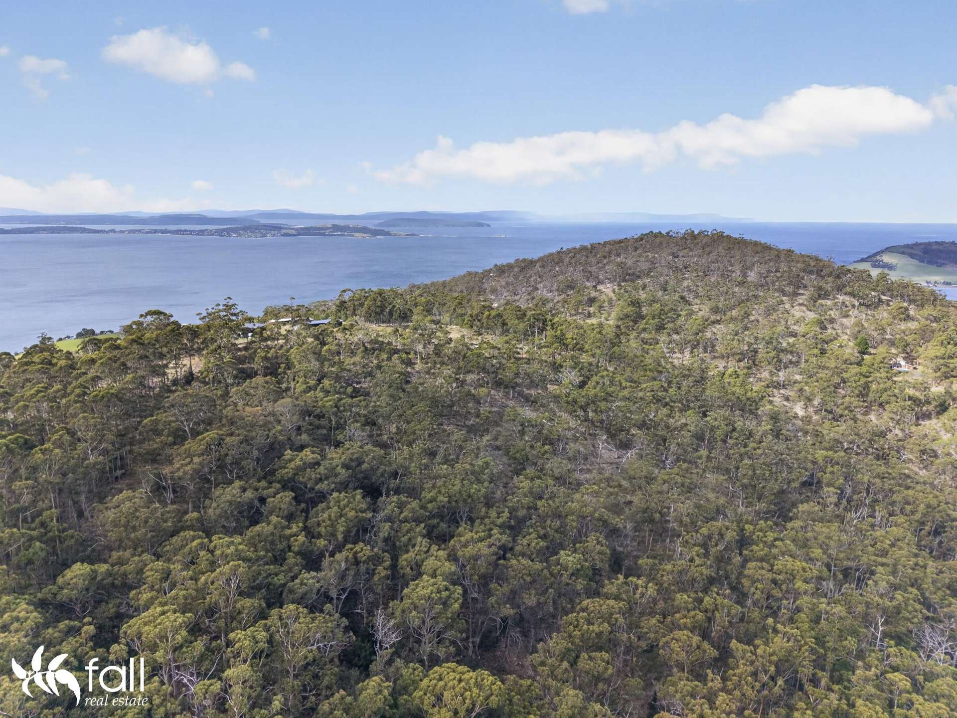 97 Mount Louis Road, Tinderbox For Sale by Farmbuy.com - image 15