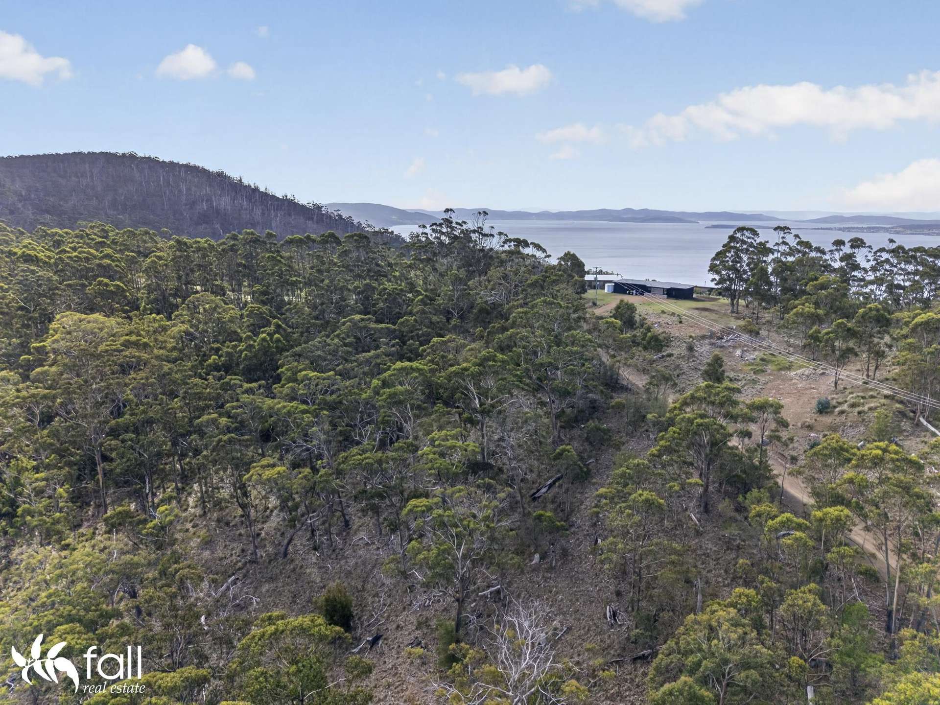 97 Mount Louis Road, Tinderbox For Sale by Farmbuy.com - image 14