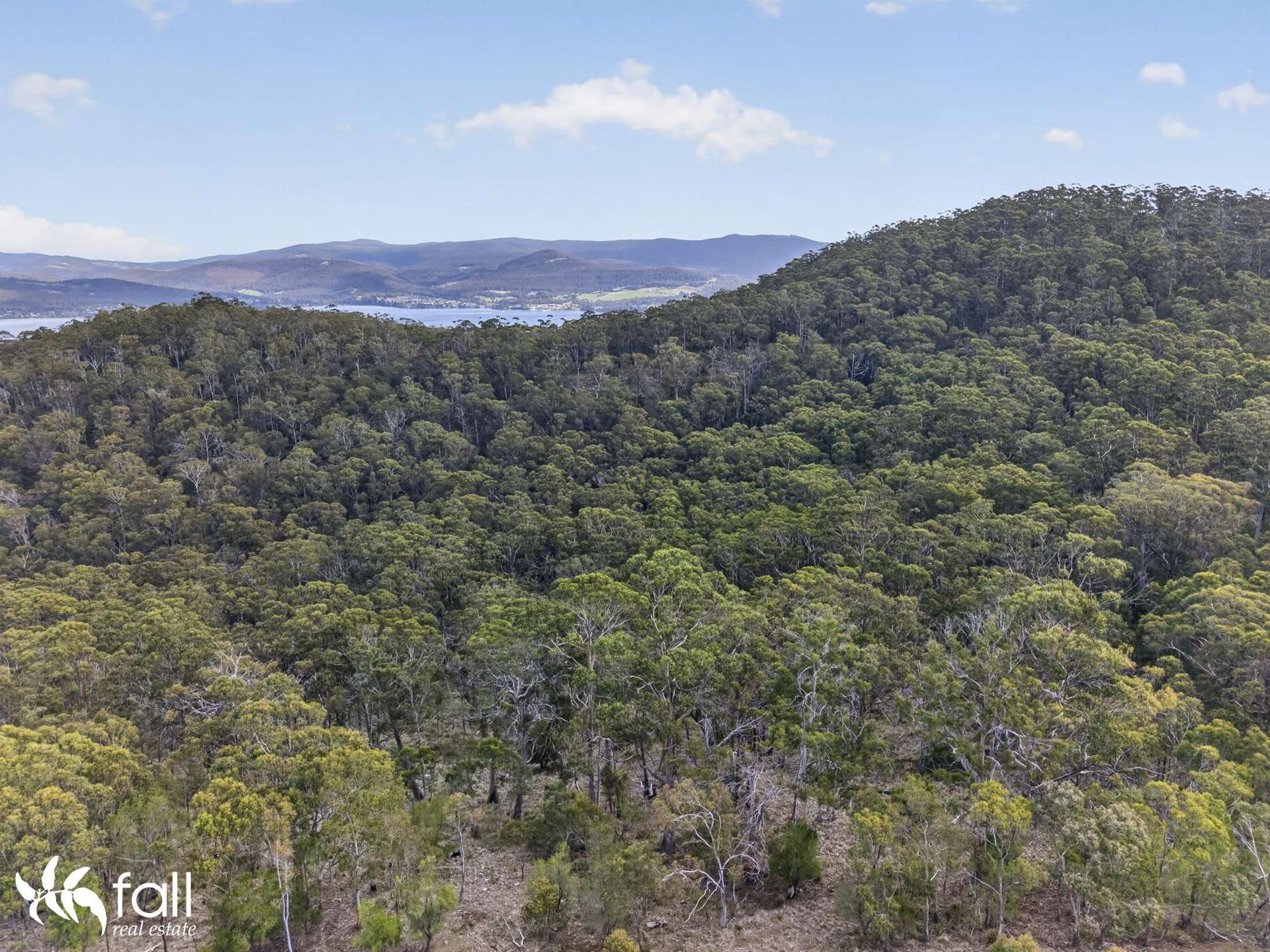 97 Mount Louis Road, Tinderbox For Sale by Farmbuy.com - image 17