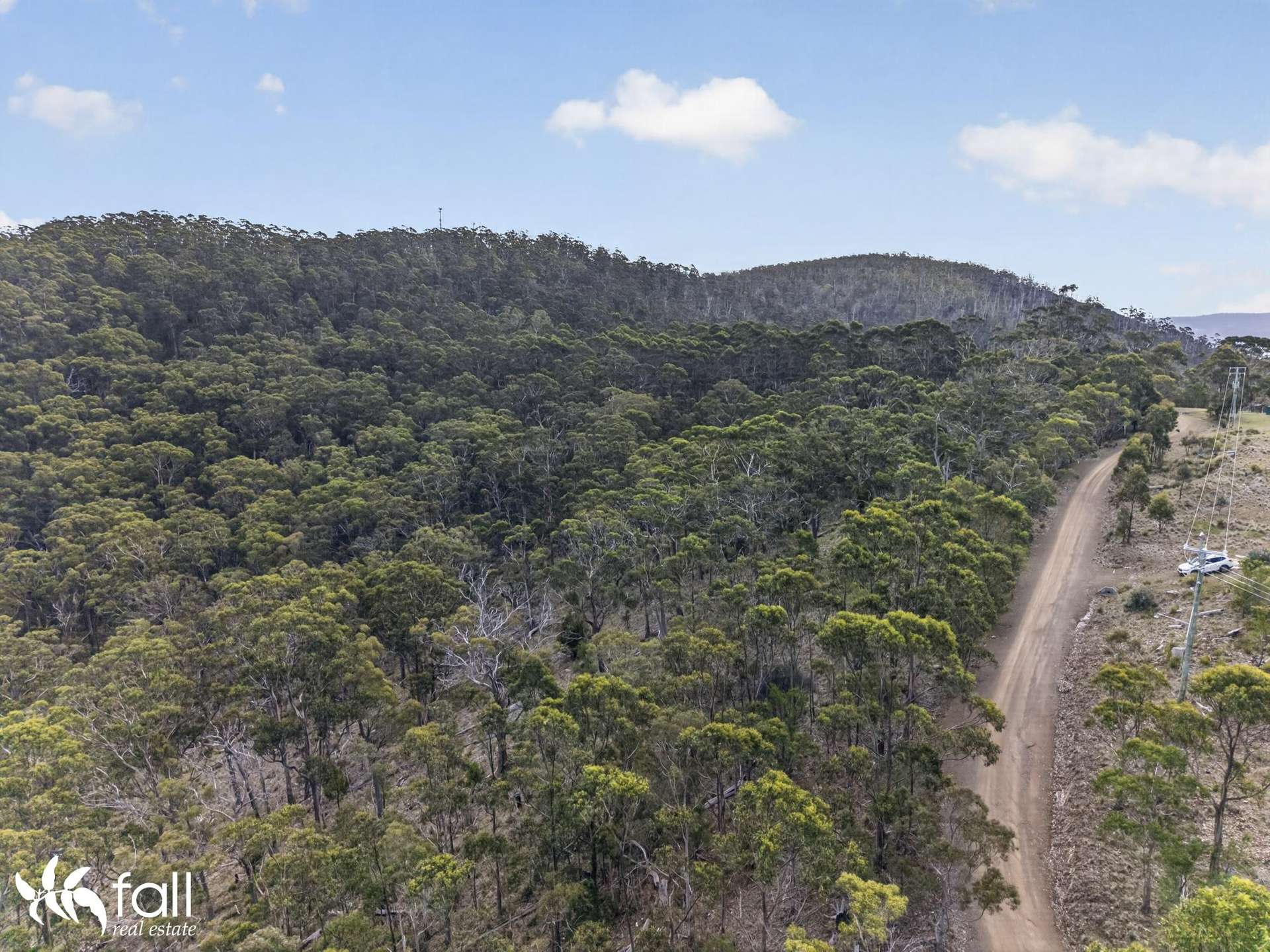 97 Mount Louis Road, Tinderbox For Sale by Farmbuy.com - image 6
