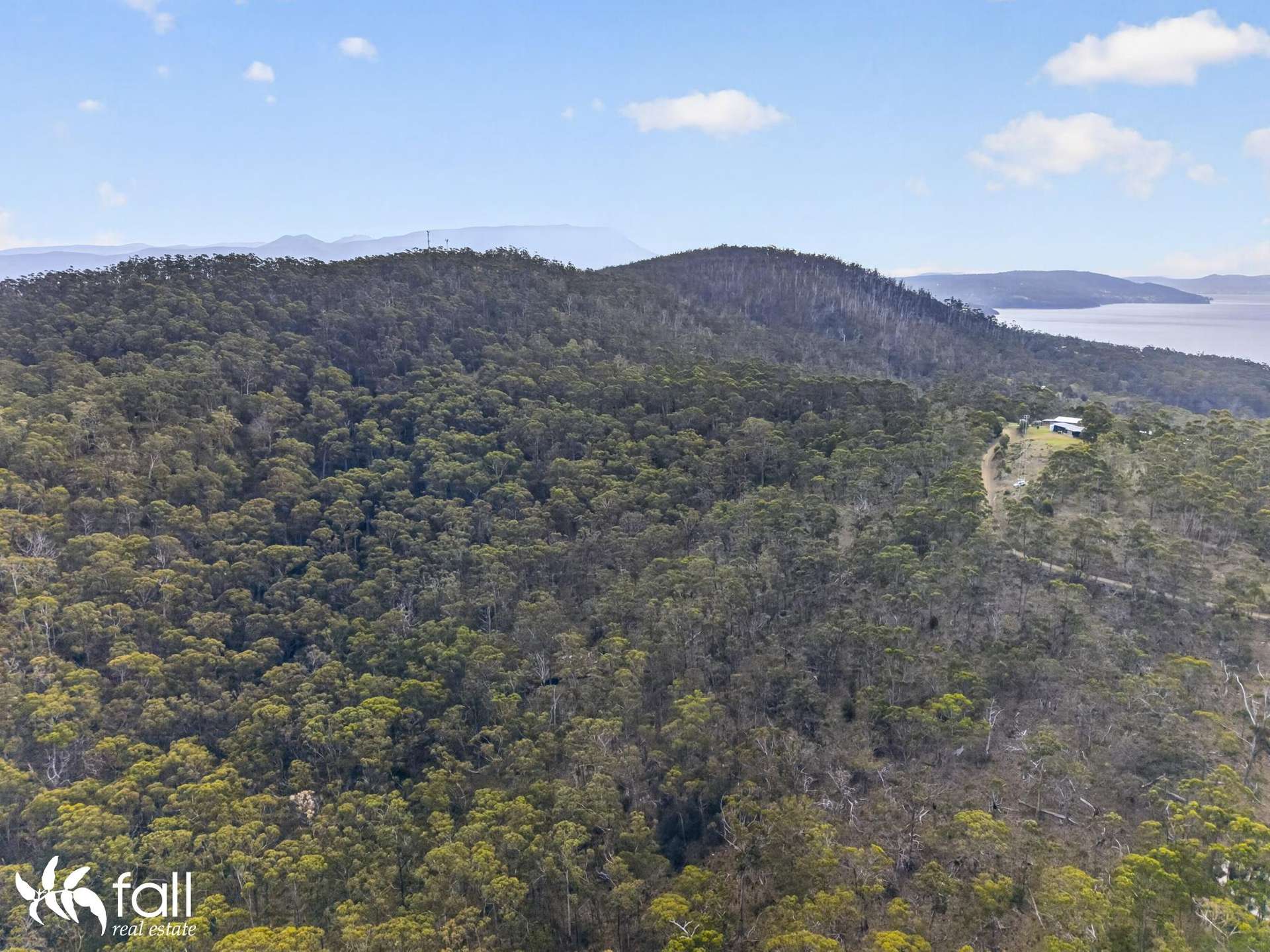 97 Mount Louis Road, Tinderbox For Sale by Farmbuy.com - image 18