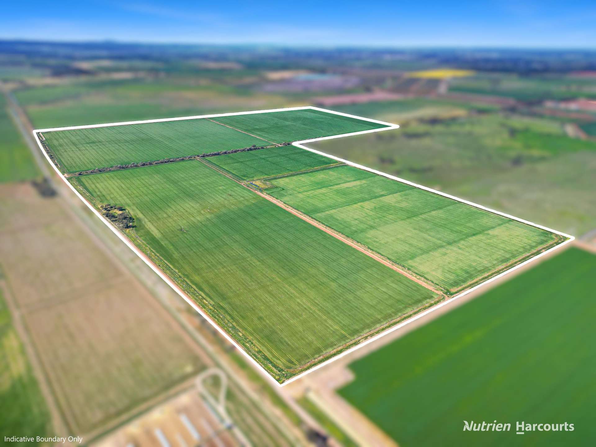 Lot 236, Boundary Road And 23-37 Wilkinson Road, Leeton For Sale by Farmbuy.com - image 1