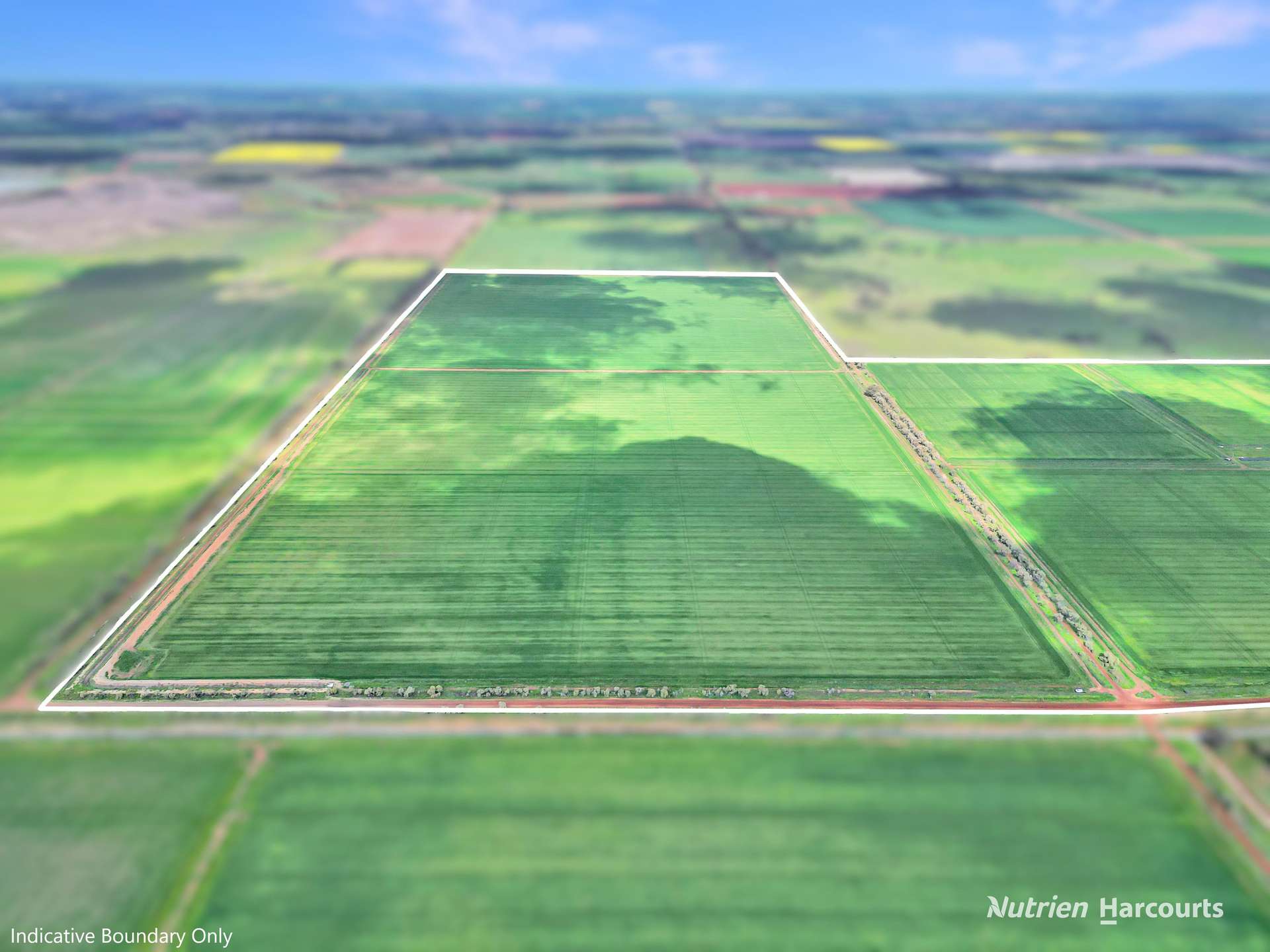 Lot 236, Boundary Road And 23-37 Wilkinson Road, Leeton For Sale by Farmbuy.com - image 6