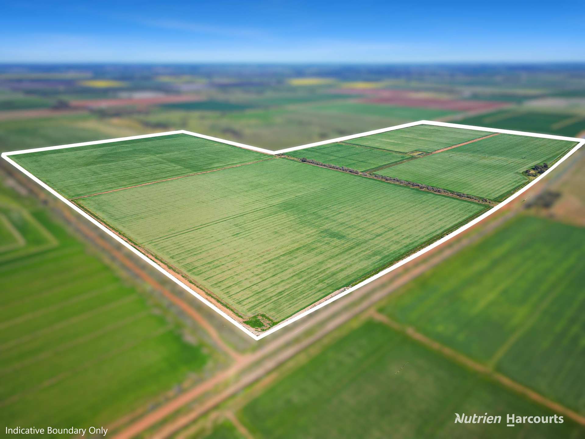 Lot 236, Boundary Road And 23-37 Wilkinson Road, Leeton For Sale by Farmbuy.com - image 2