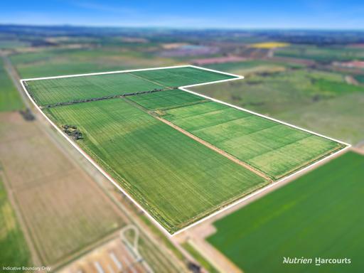 Farm For Sale - NSW - Leeton - 2705 - Versatile Leeton Farmland with Strong Irrigation Infrastructure 
