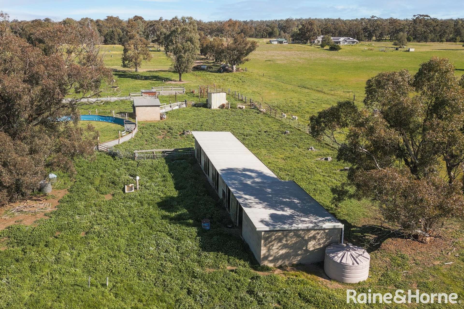 90 River Street, Currawarna For Sale by Farmbuy.com - image 13
