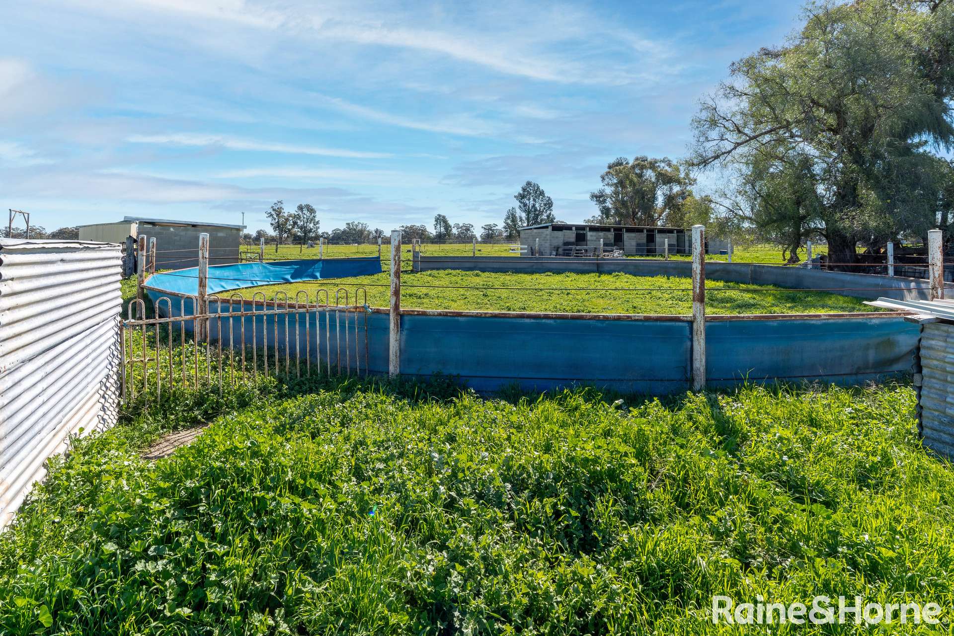 90 River Street, Currawarna For Sale by Farmbuy.com - image 12