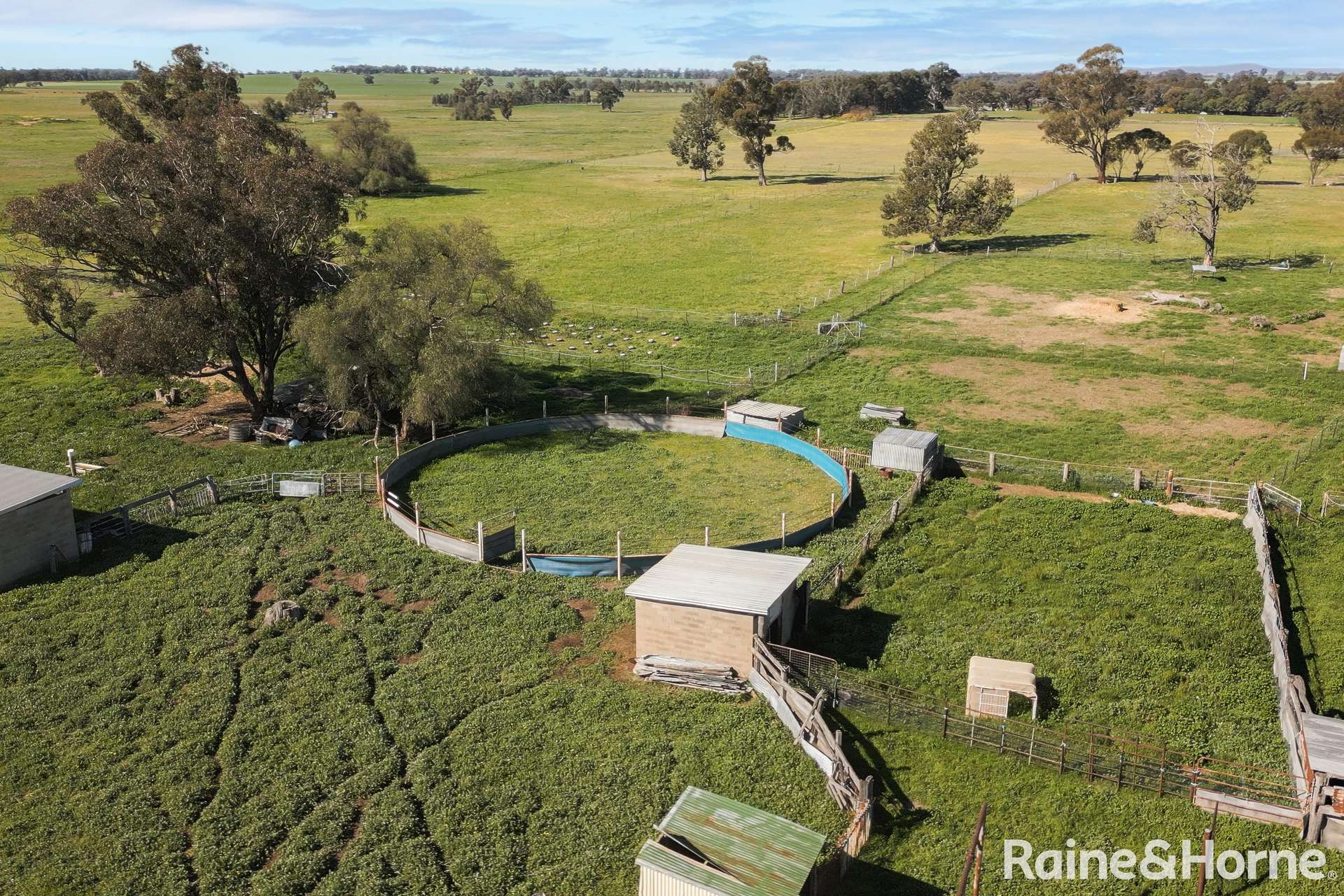 90 River Street, Currawarna For Sale by Farmbuy.com - image 14