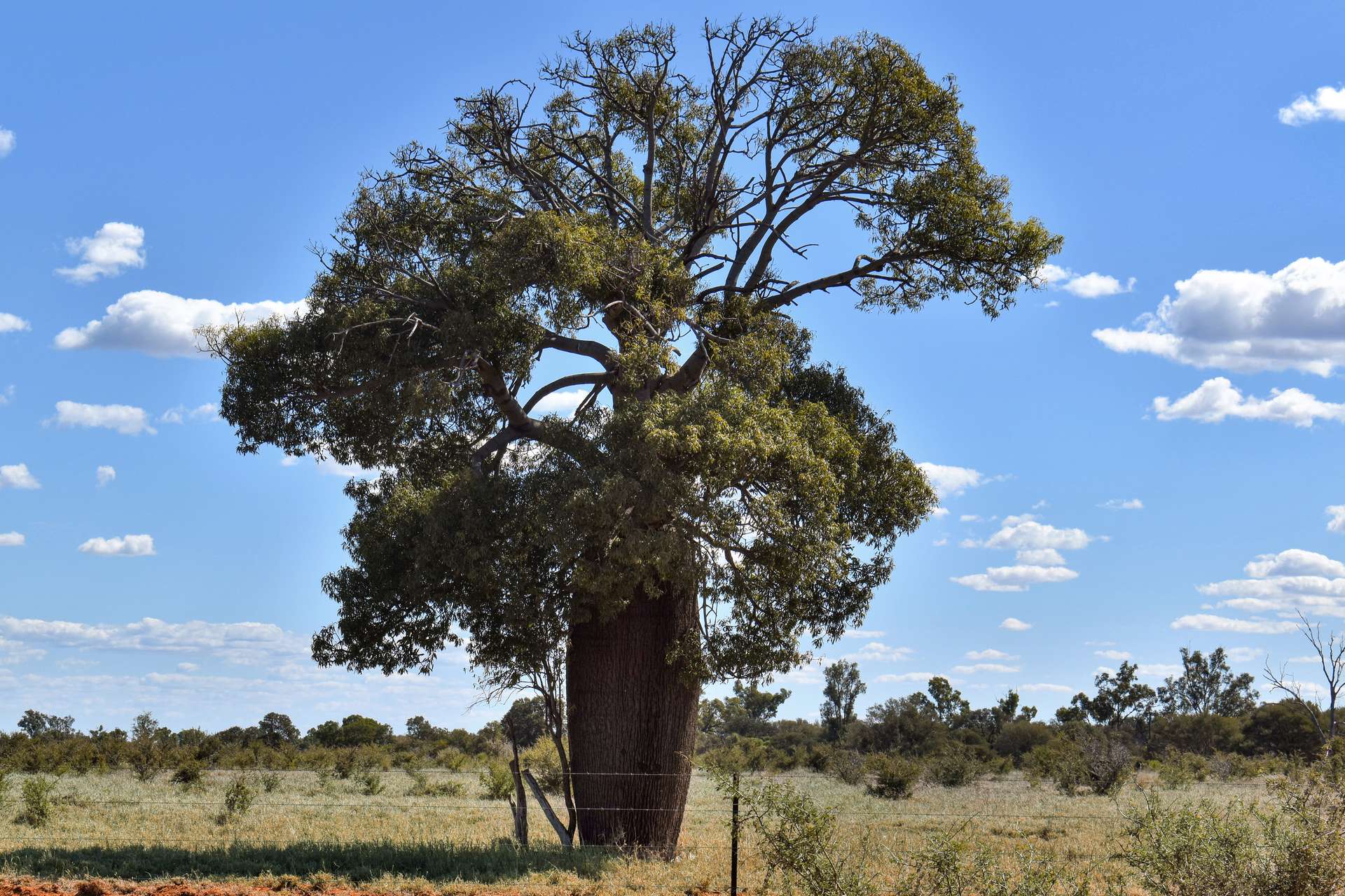 " Prairie", Augathella For Sale by Farmbuy.com - image 3
