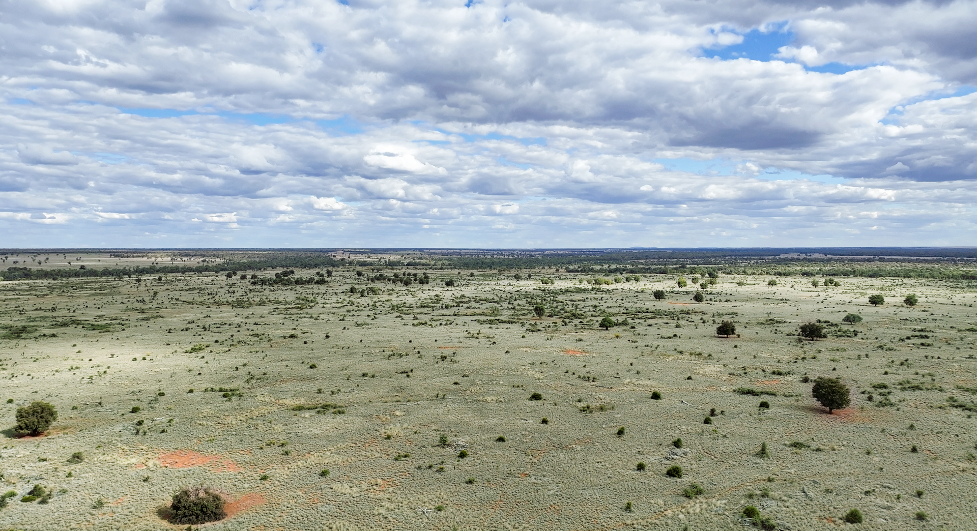 " Prairie", Augathella For Sale by Farmbuy.com - image 15