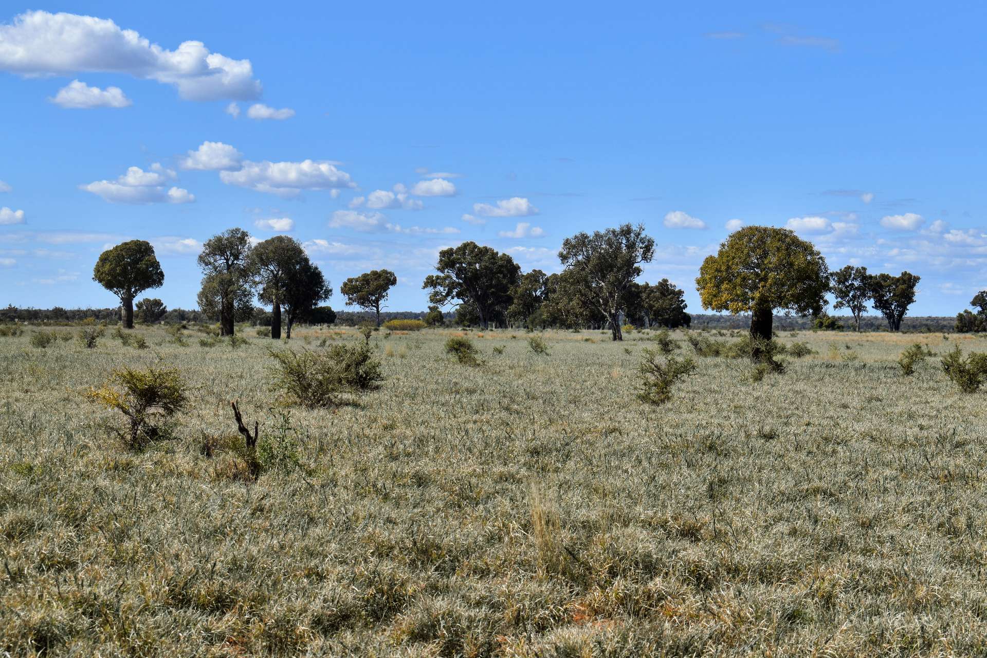 " Prairie", Augathella For Sale by Farmbuy.com - image 2
