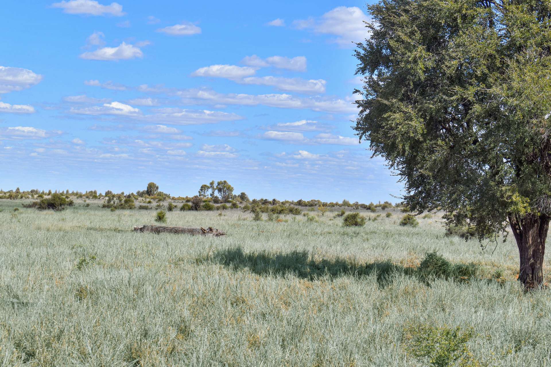 " Prairie", Augathella For Sale by Farmbuy.com - image 16
