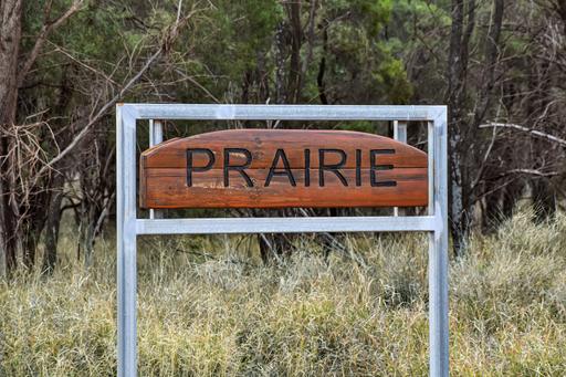 Farm For Sale - QLD - Augathella - 4477 - Great Balance Of Soils In The Dress Circle Of Augathella 