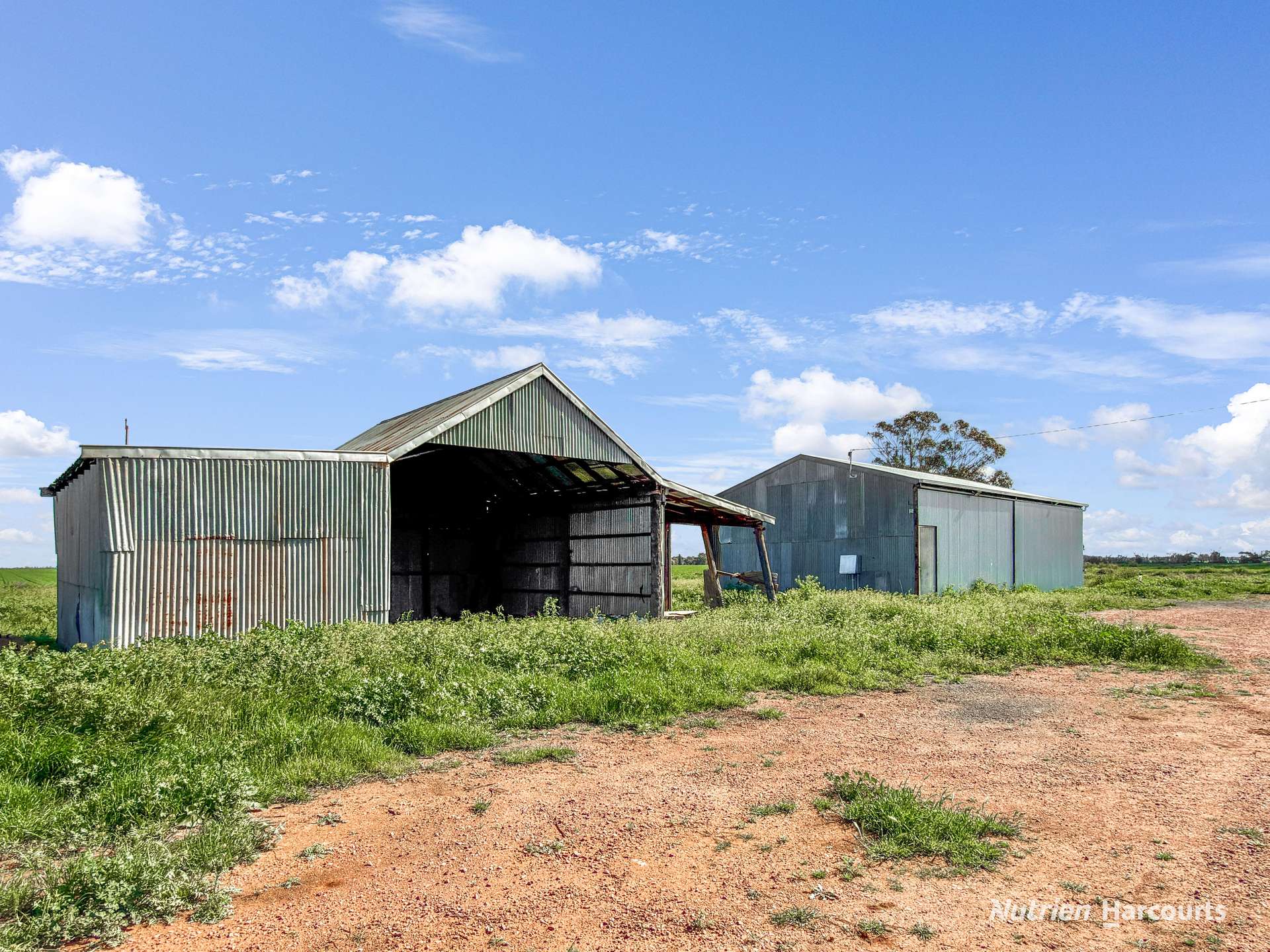 Farm 1722, 2851 Irrigation Way, Murrami For Sale by Farmbuy.com - image 10