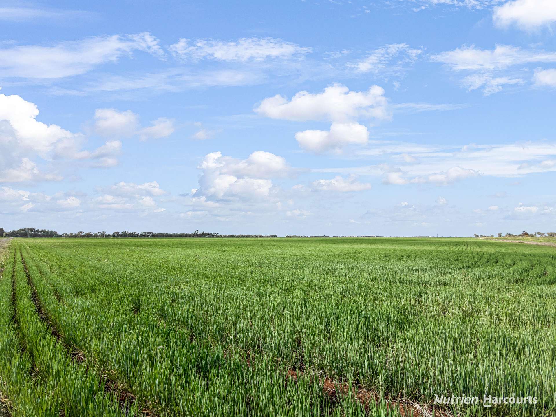 Farm 1722, 2851 Irrigation Way, Murrami For Sale by Farmbuy.com - image 7