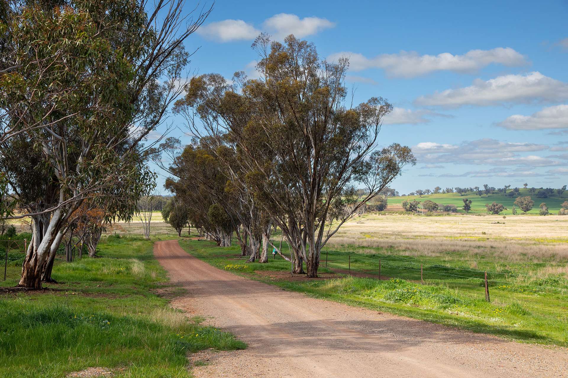 783 Calarie Road, Forbes For Sale by Farmbuy.com - image 16