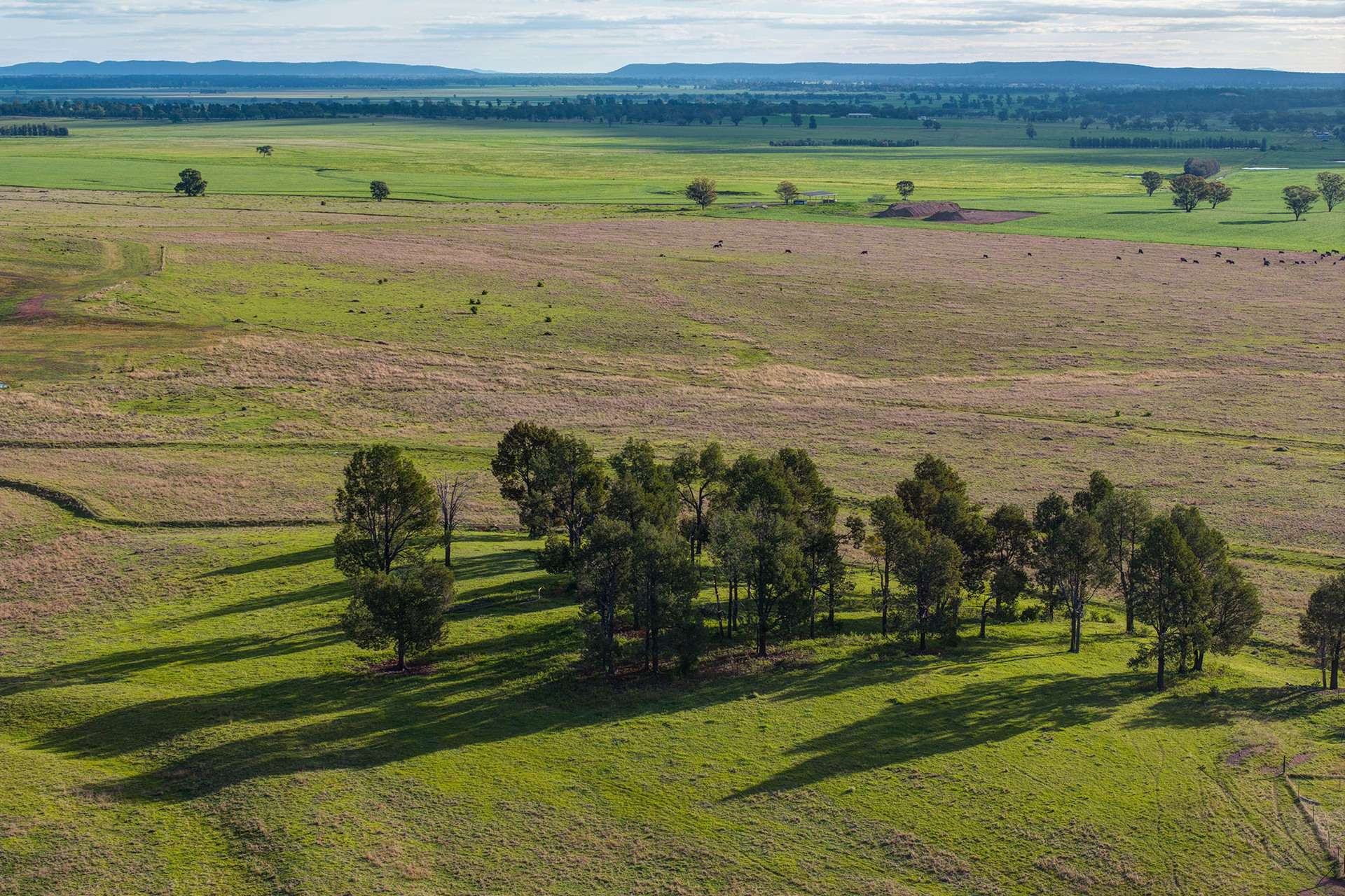 783 Calarie Road, Forbes For Sale by Farmbuy.com - image 5