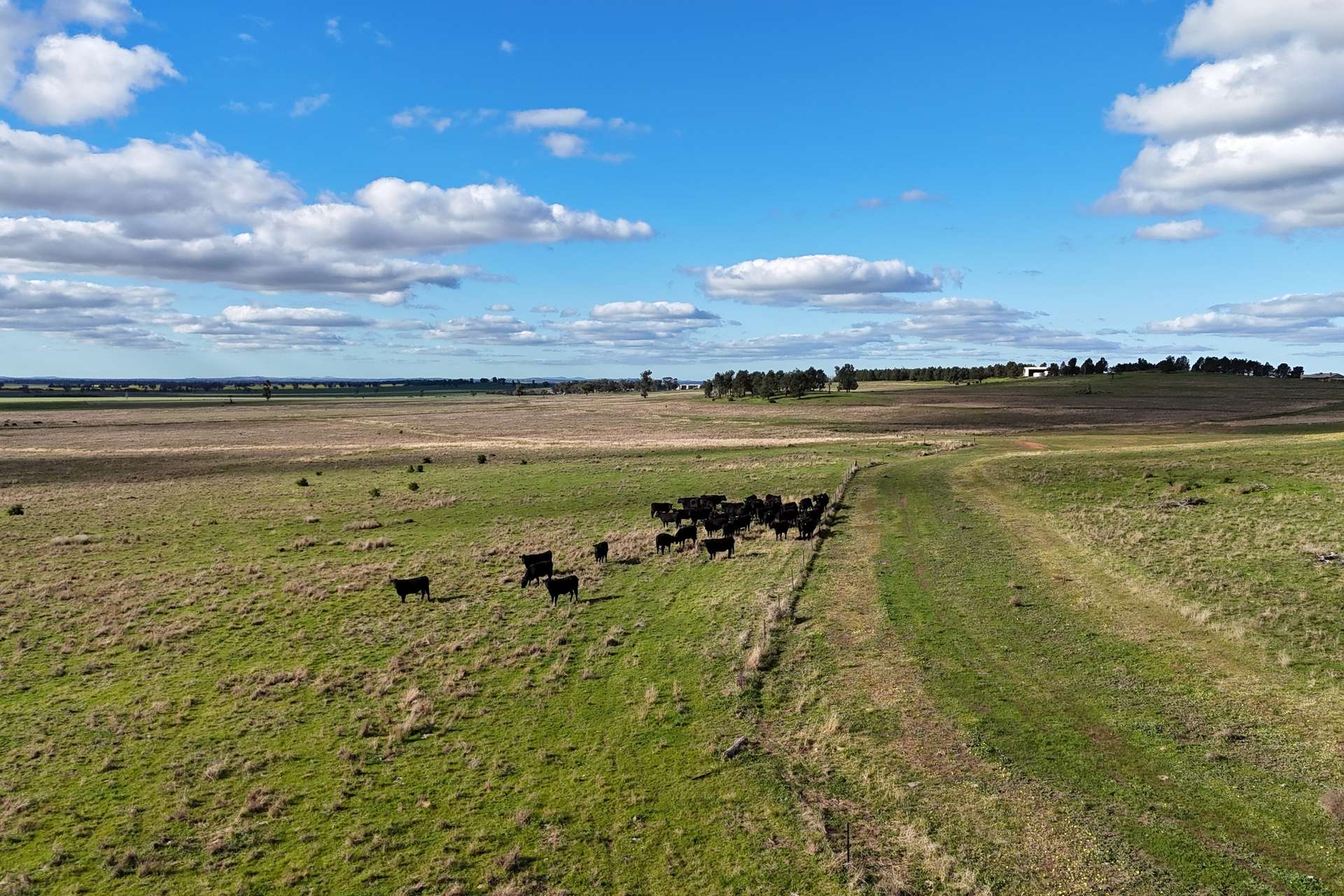 783 Calarie Road, Forbes For Sale by Farmbuy.com - image 7