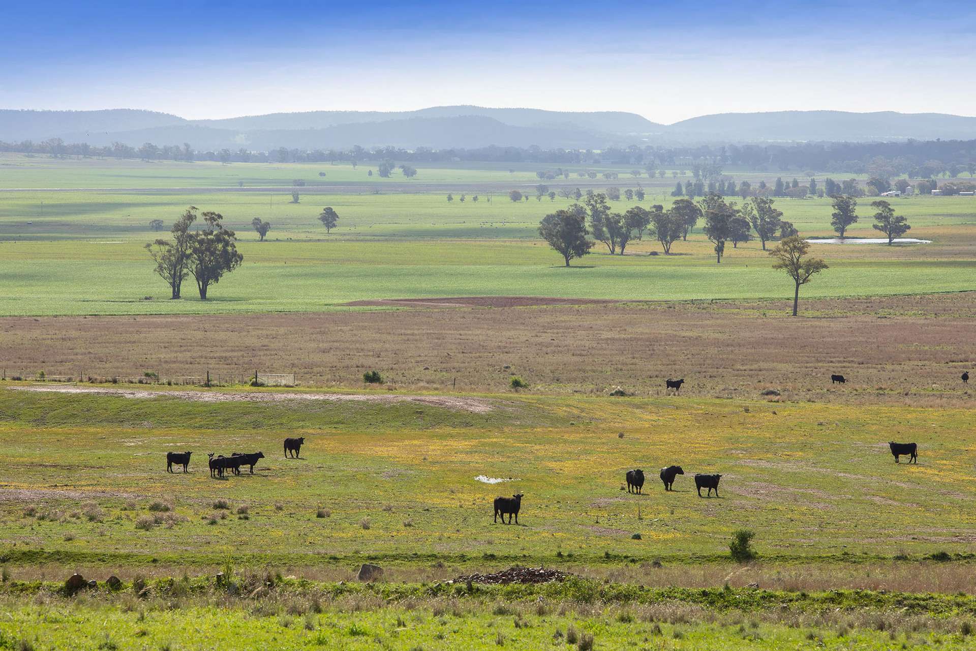 783 Calarie Road, Forbes For Sale by Farmbuy.com - image 20