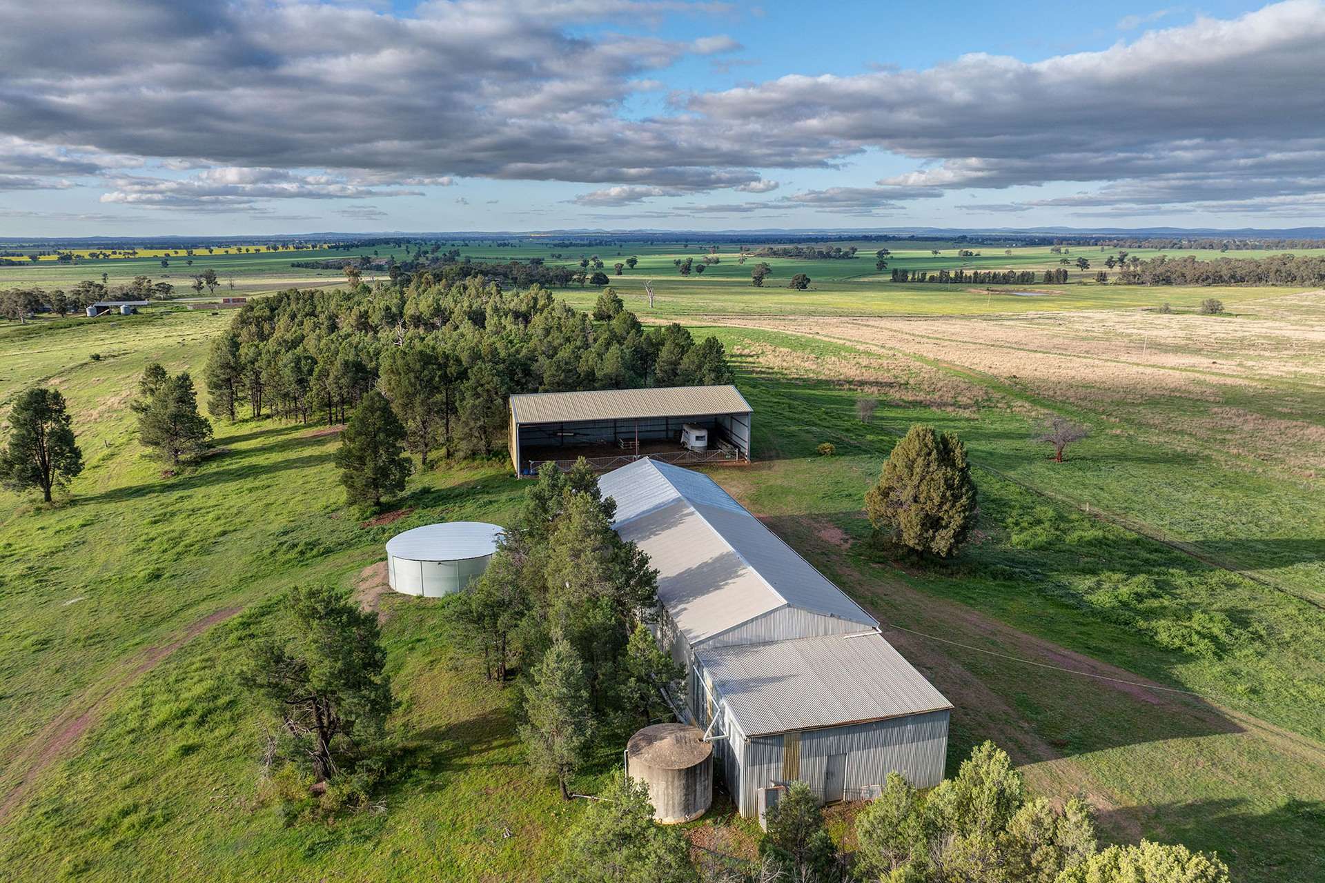 783 Calarie Road, Forbes For Sale by Farmbuy.com - image 8
